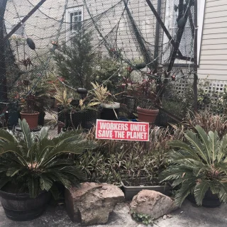 Sign in a yard in New Orleans.