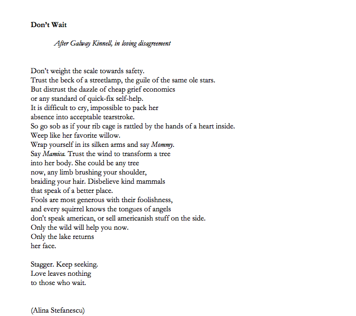 Writing prompt from Galway Kinnell's "Don't Wait" — alina Ştefănescu