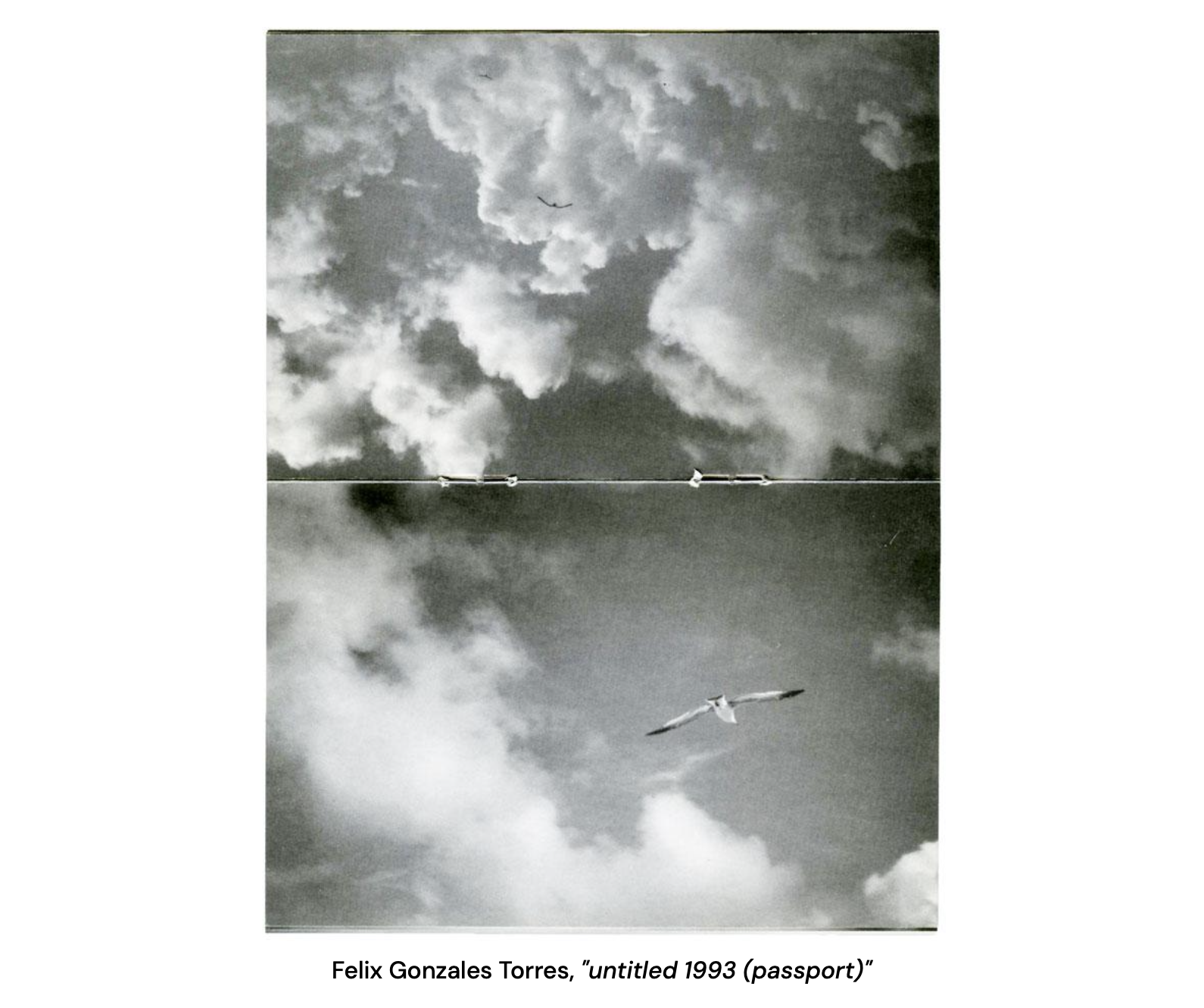 Felix Gonzales Torres, .png