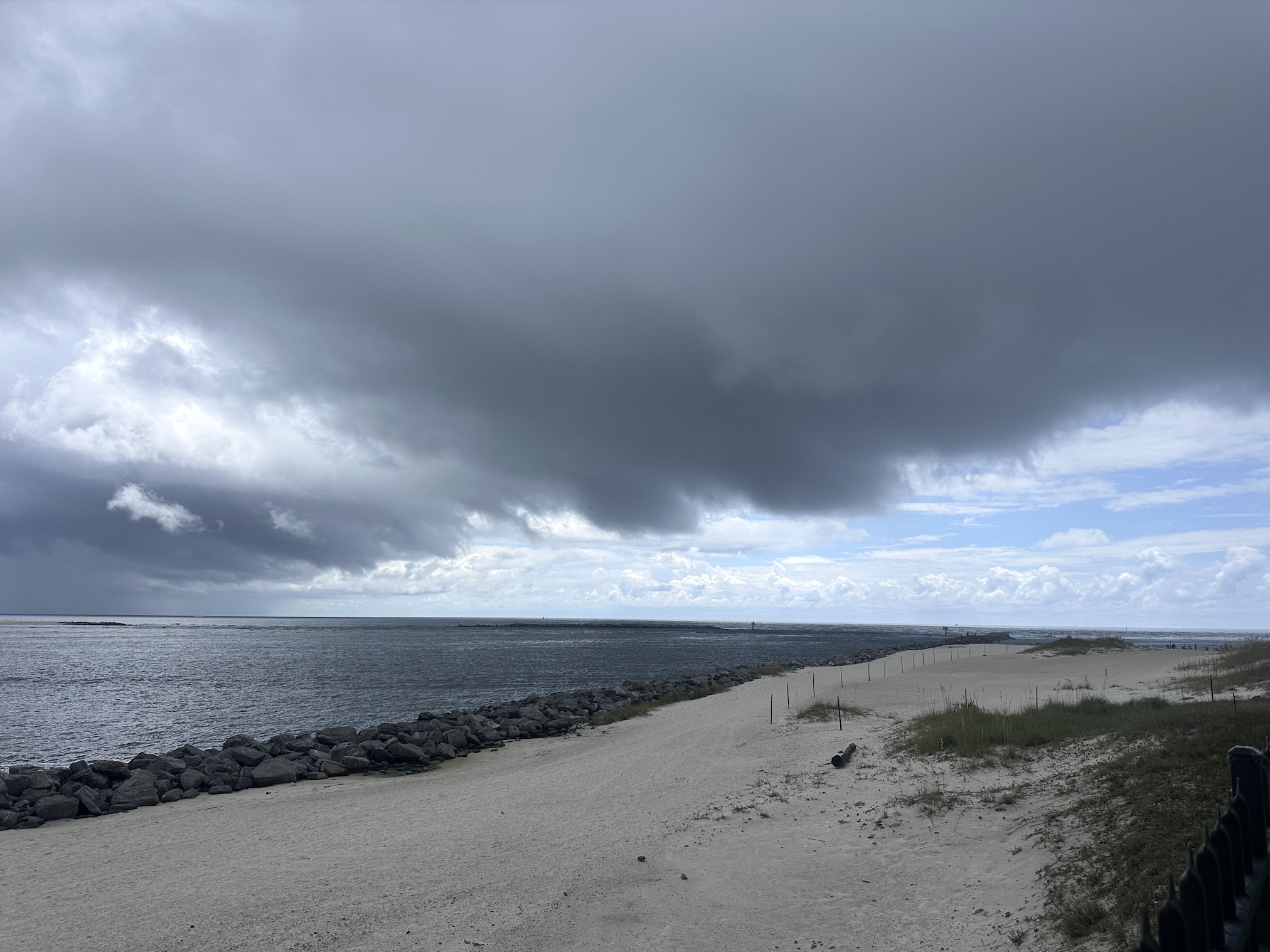 Screen Shot 2025-10-30 at 11.46.26 AM.png