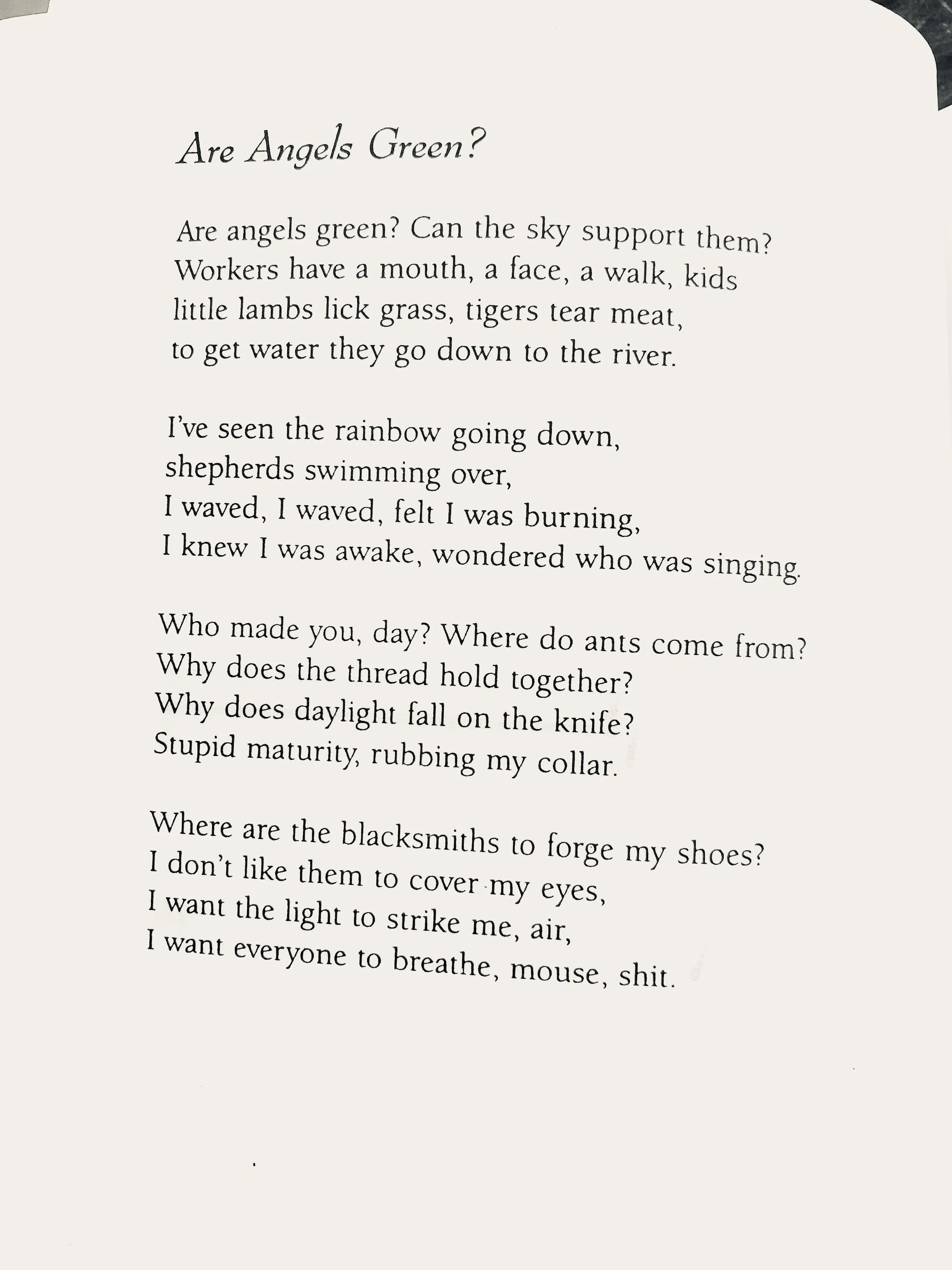 Tomaz Salamun, Are Angels Green_.jpeg