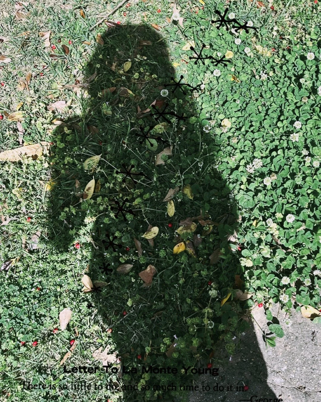 Writing with Shadows: A workshop intensive.