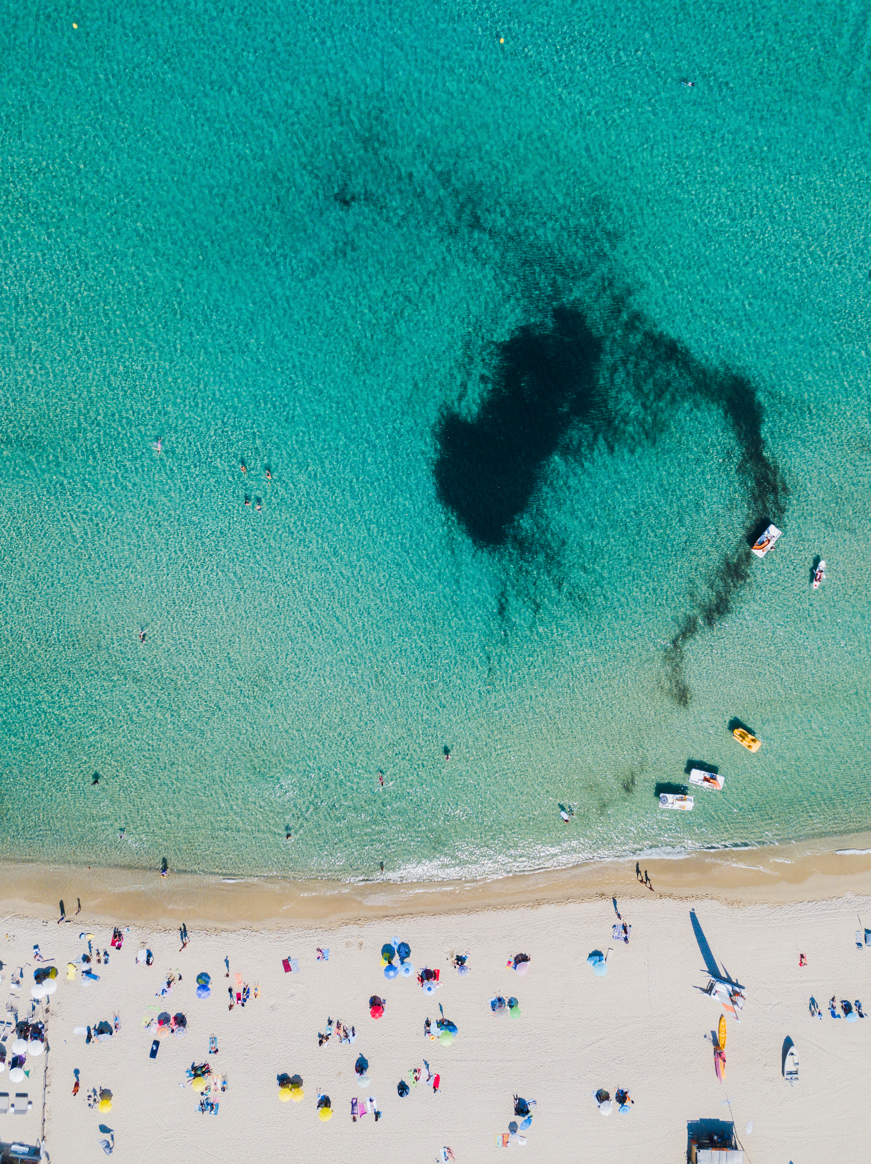 Screen Shot 2018-10-10 at 12.29.10 PM.png