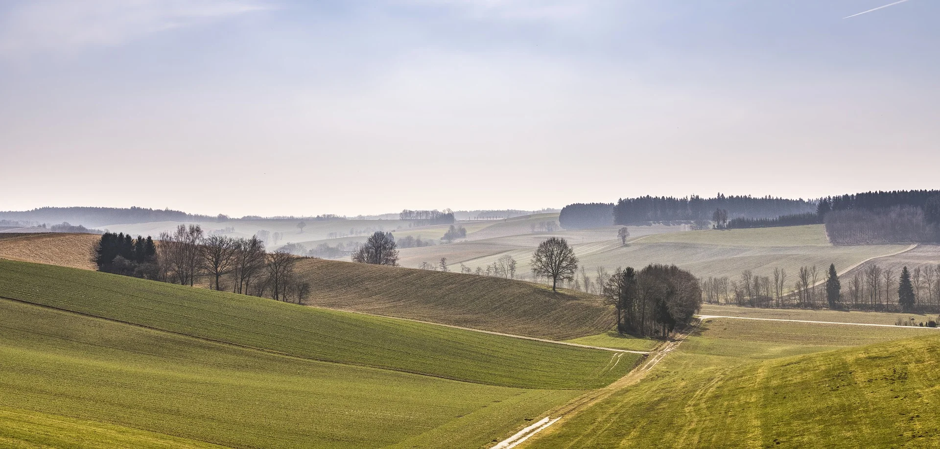 nature-3321771_1920.jpg