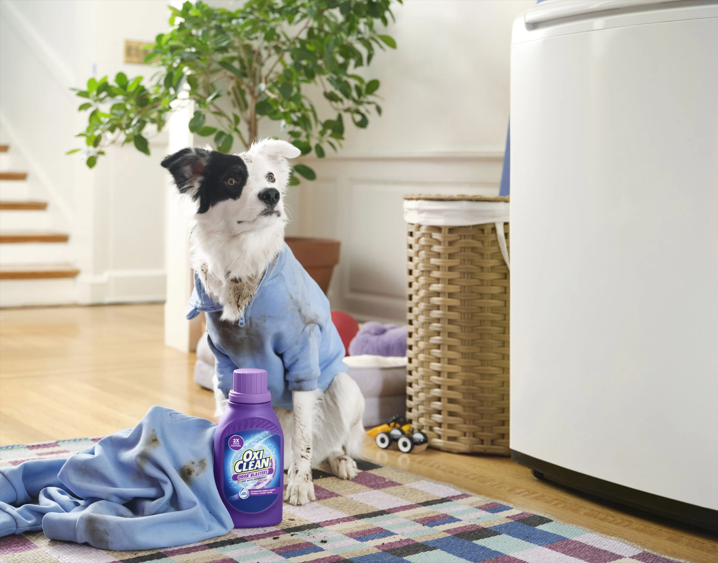 Oxiclean Dave's world Pt 22423_4431FC_B_ADOBERGB.jpeg