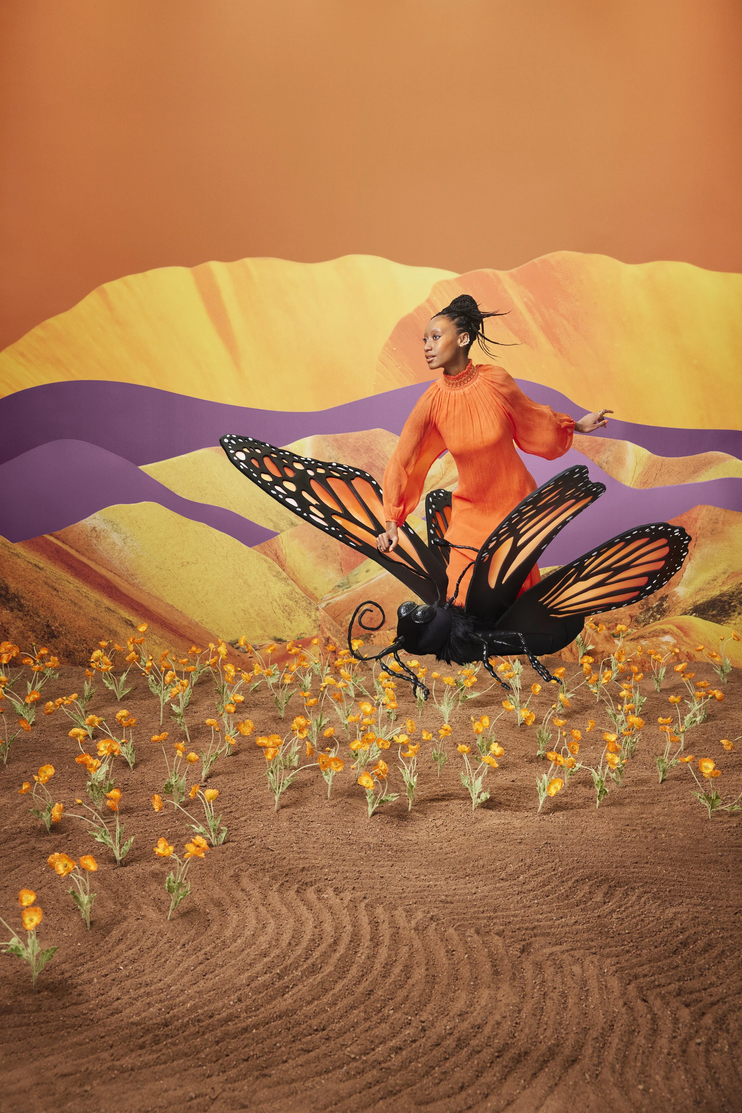 Butterfly-2447_3304CC_D_ADOBERGB.jpg
