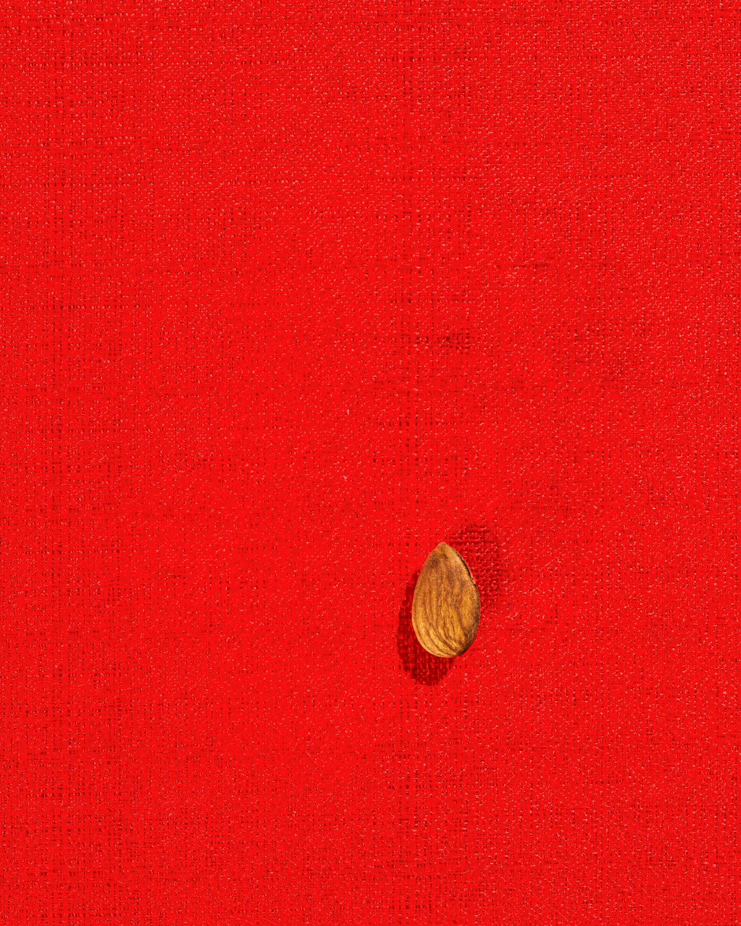 AlmondStack_4x5.gif