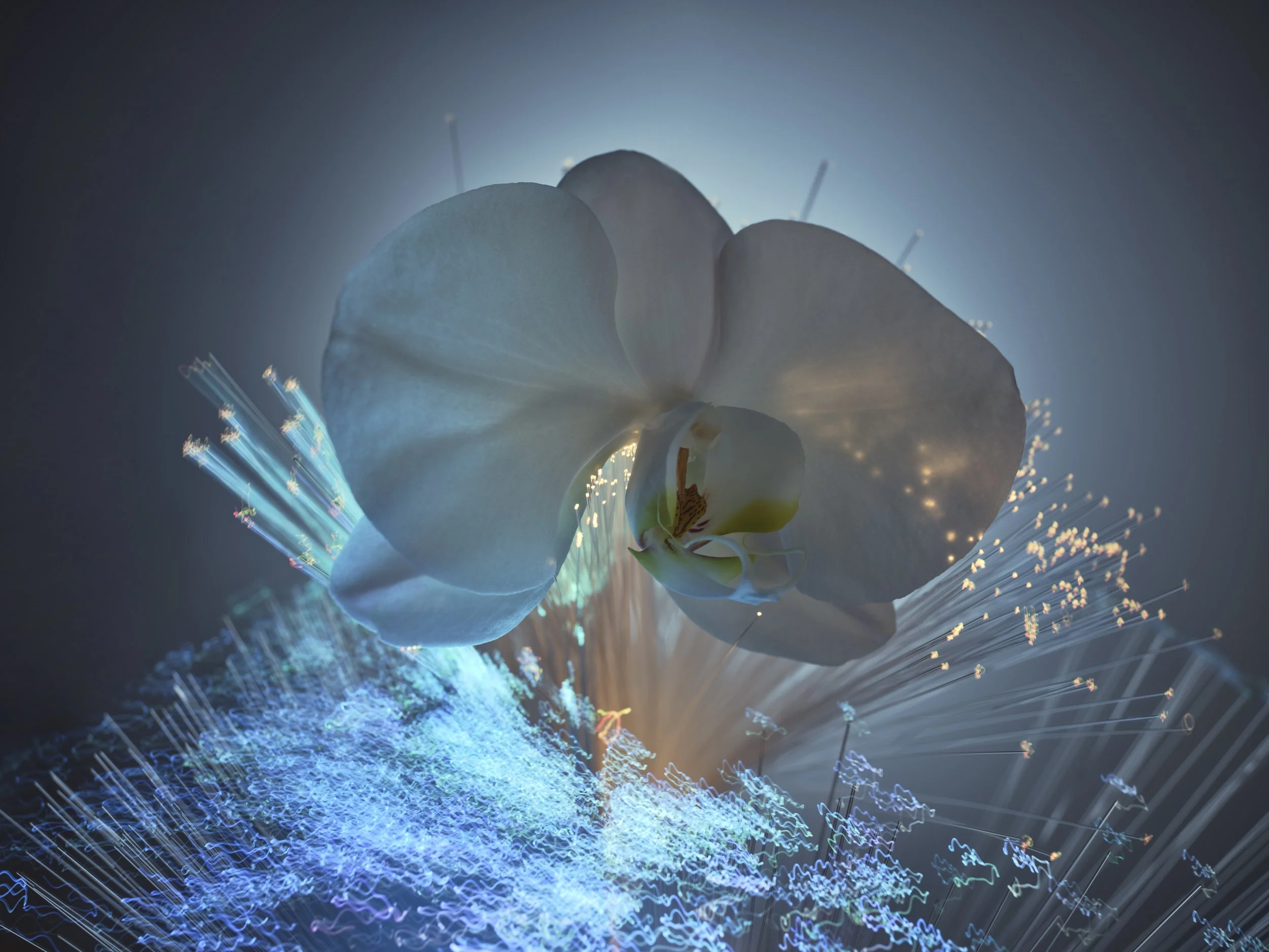 25_10_29_LaPrairieTest_1259_4641FC_B_ADOBERGB.jpg