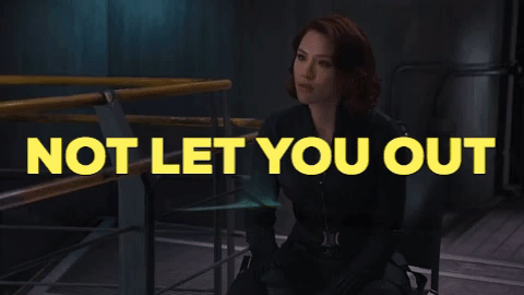 Animated GIF-downsized_large (22).gif