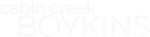 logo-2.png