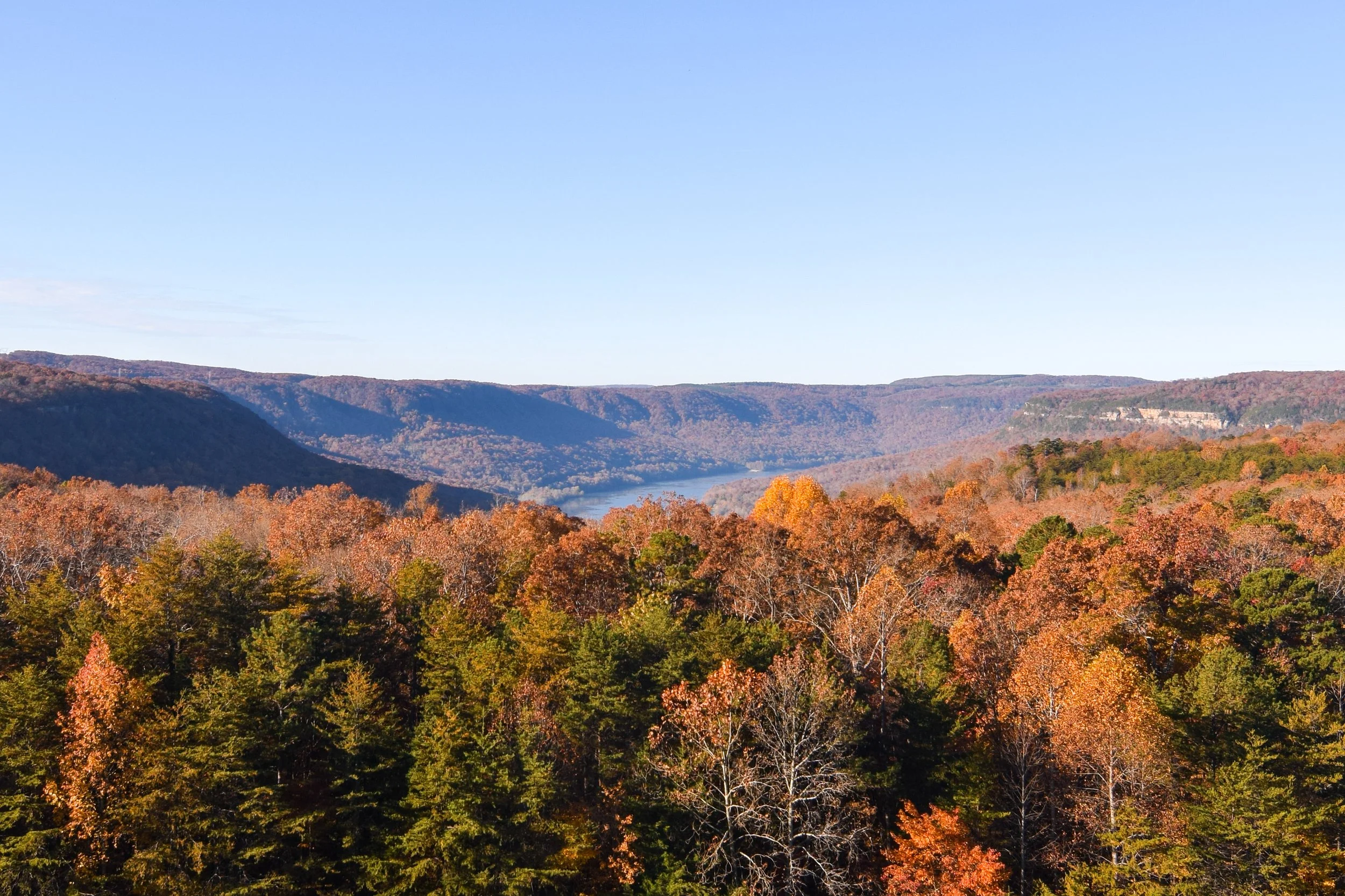 DSC_0192.jpg