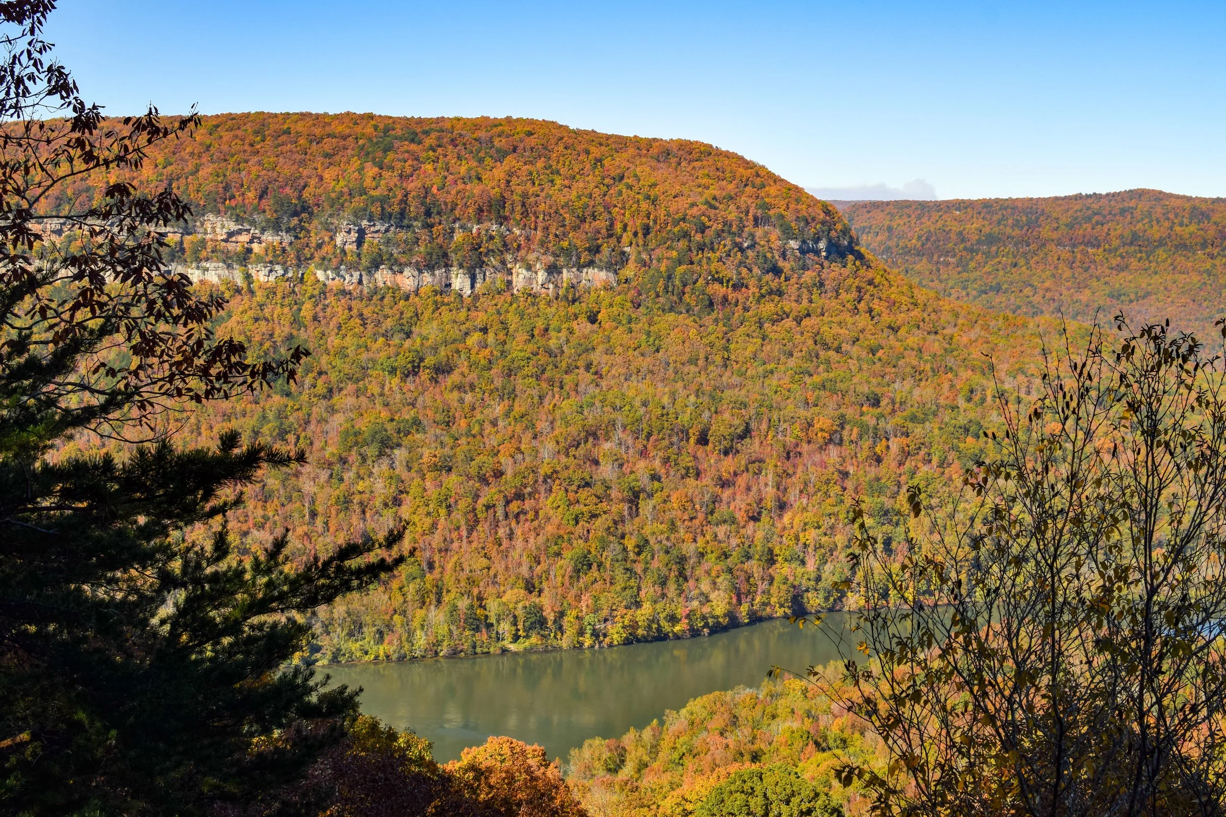 DSC_0595.jpg