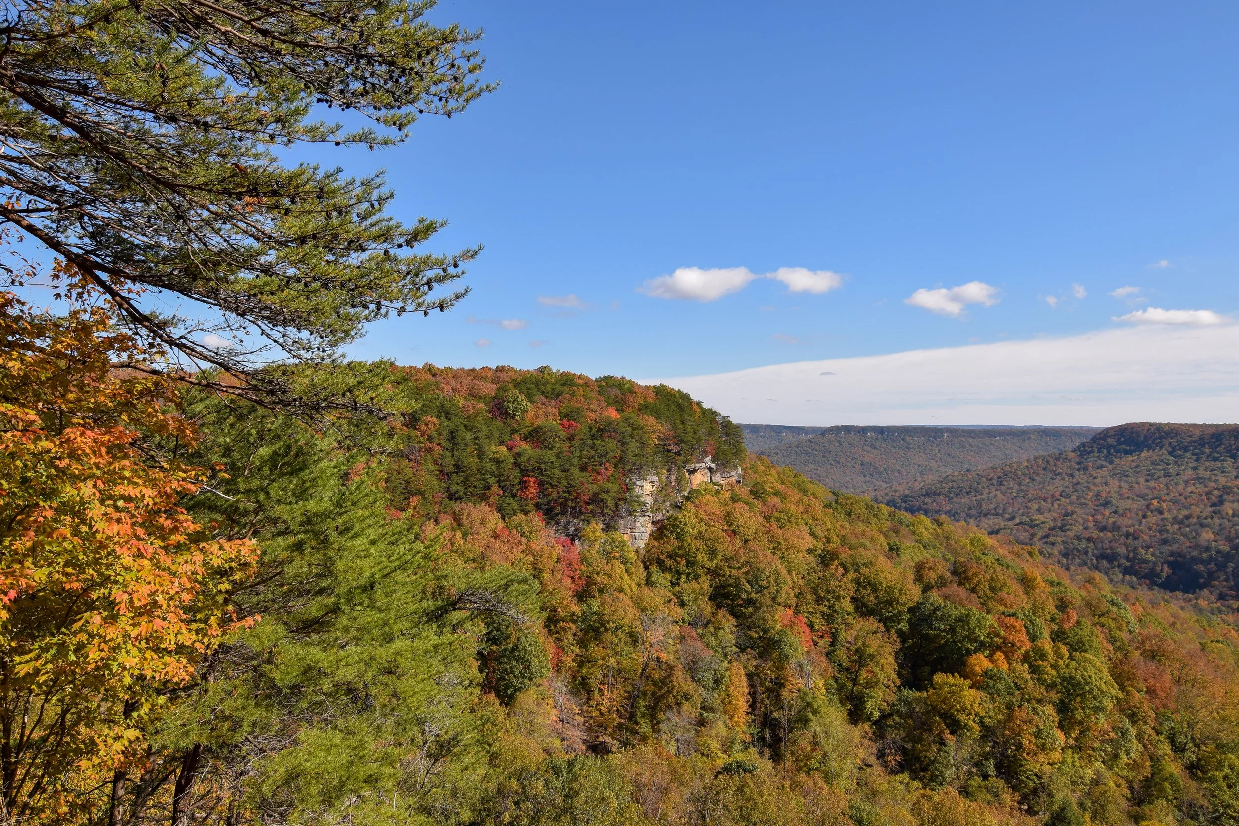 DSC_0555.jpg