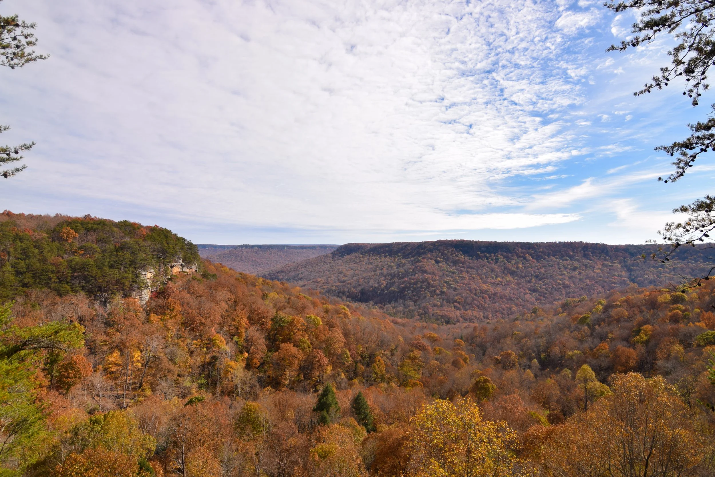 DSC_0236.jpg