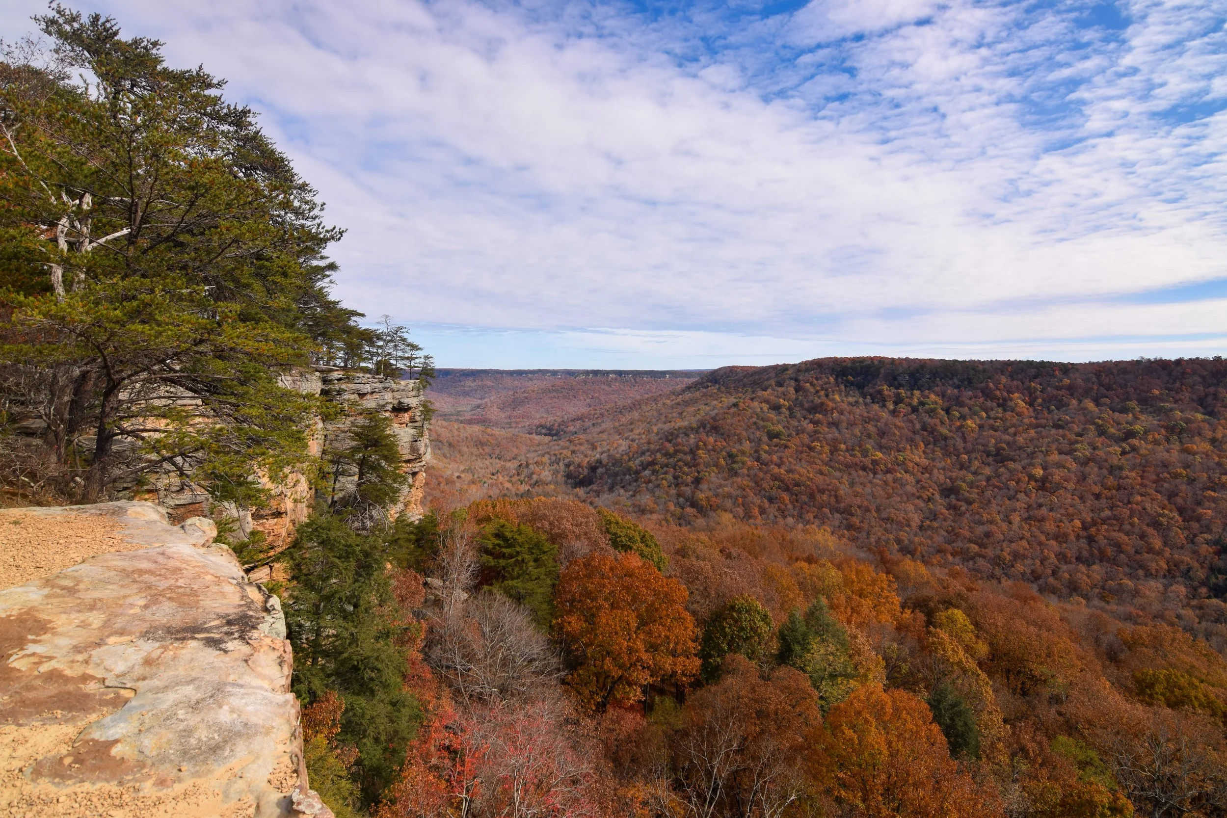 DSC_0258.jpg