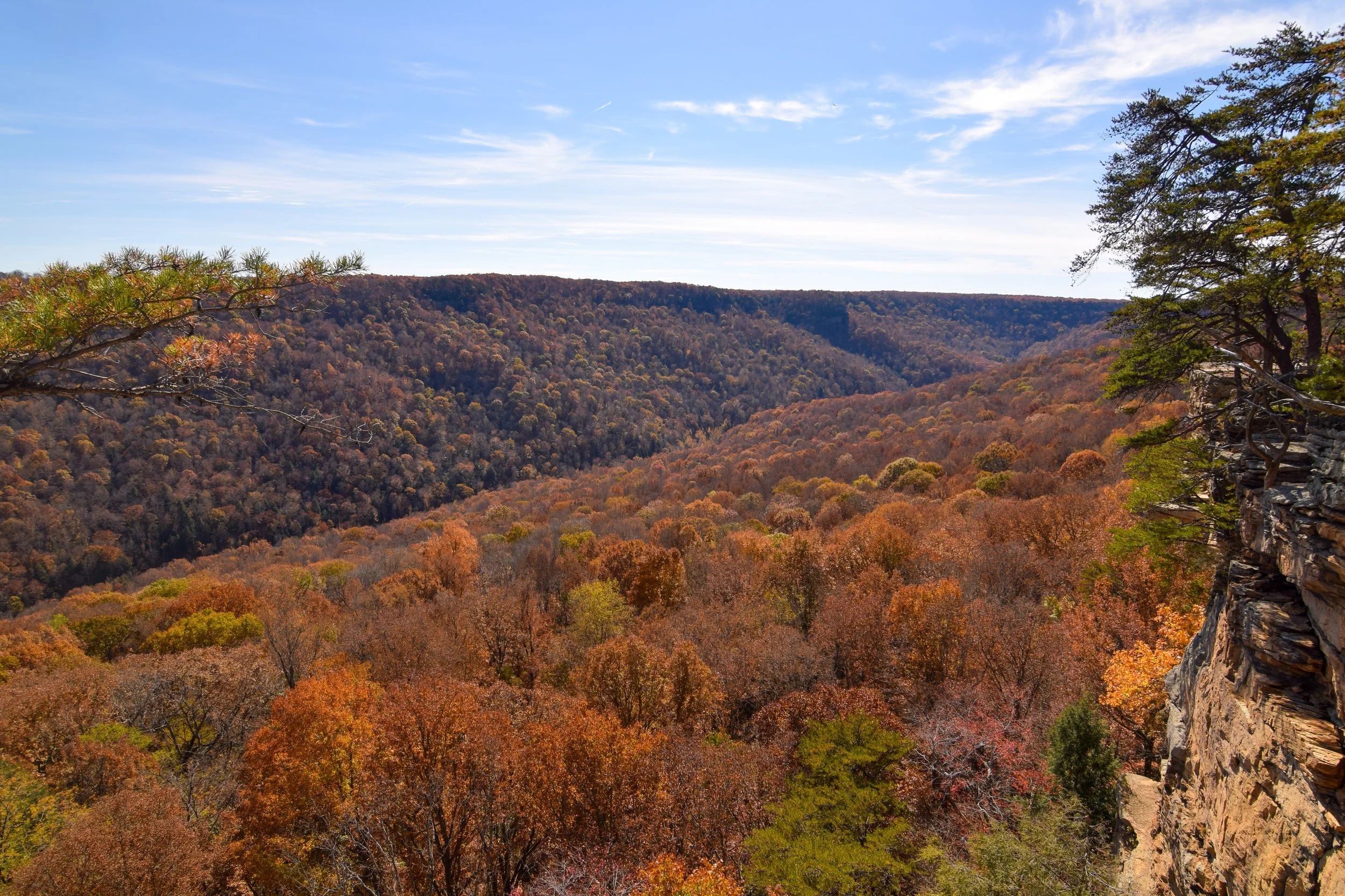 DSC_0266.jpg