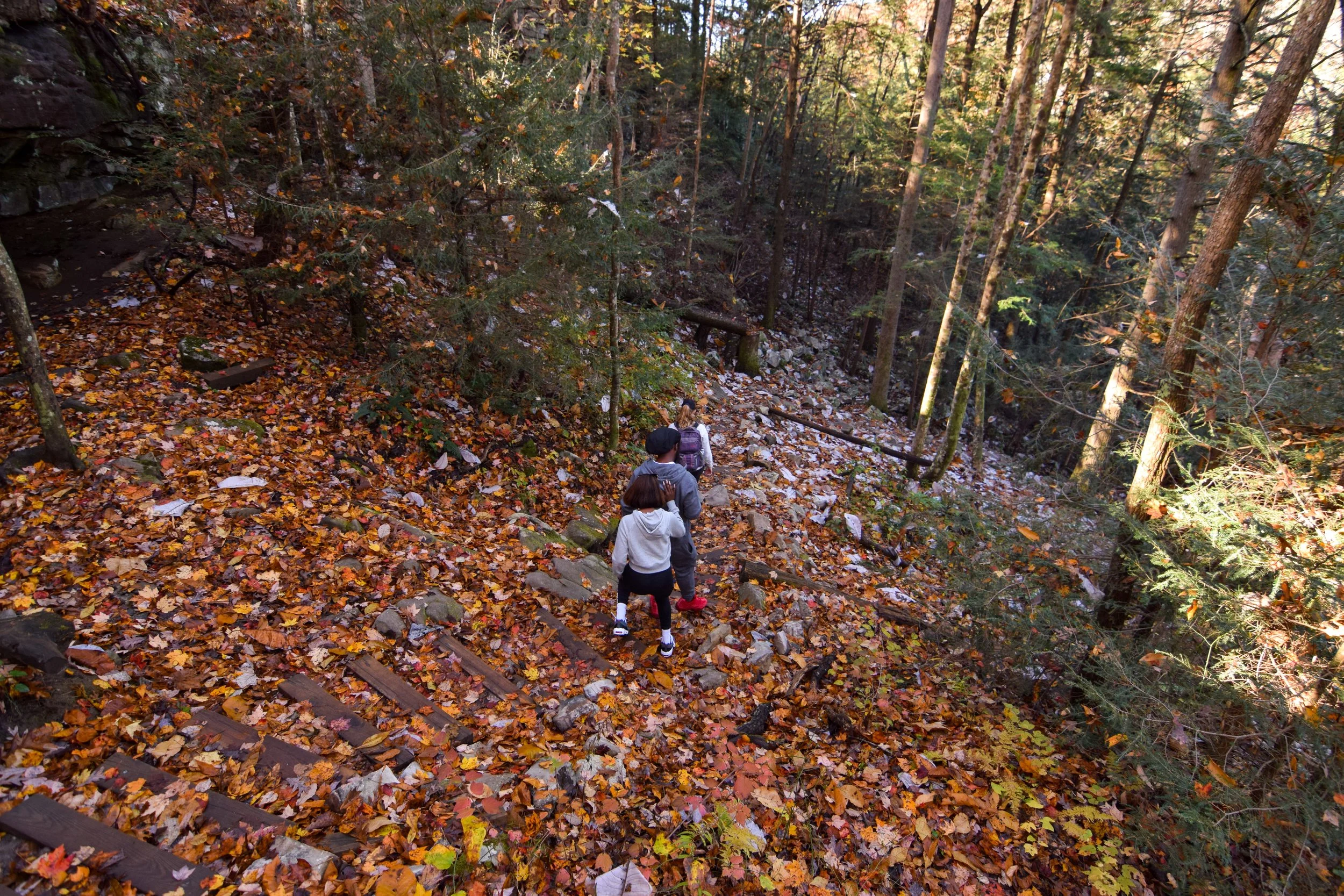 DSC_0957.jpg