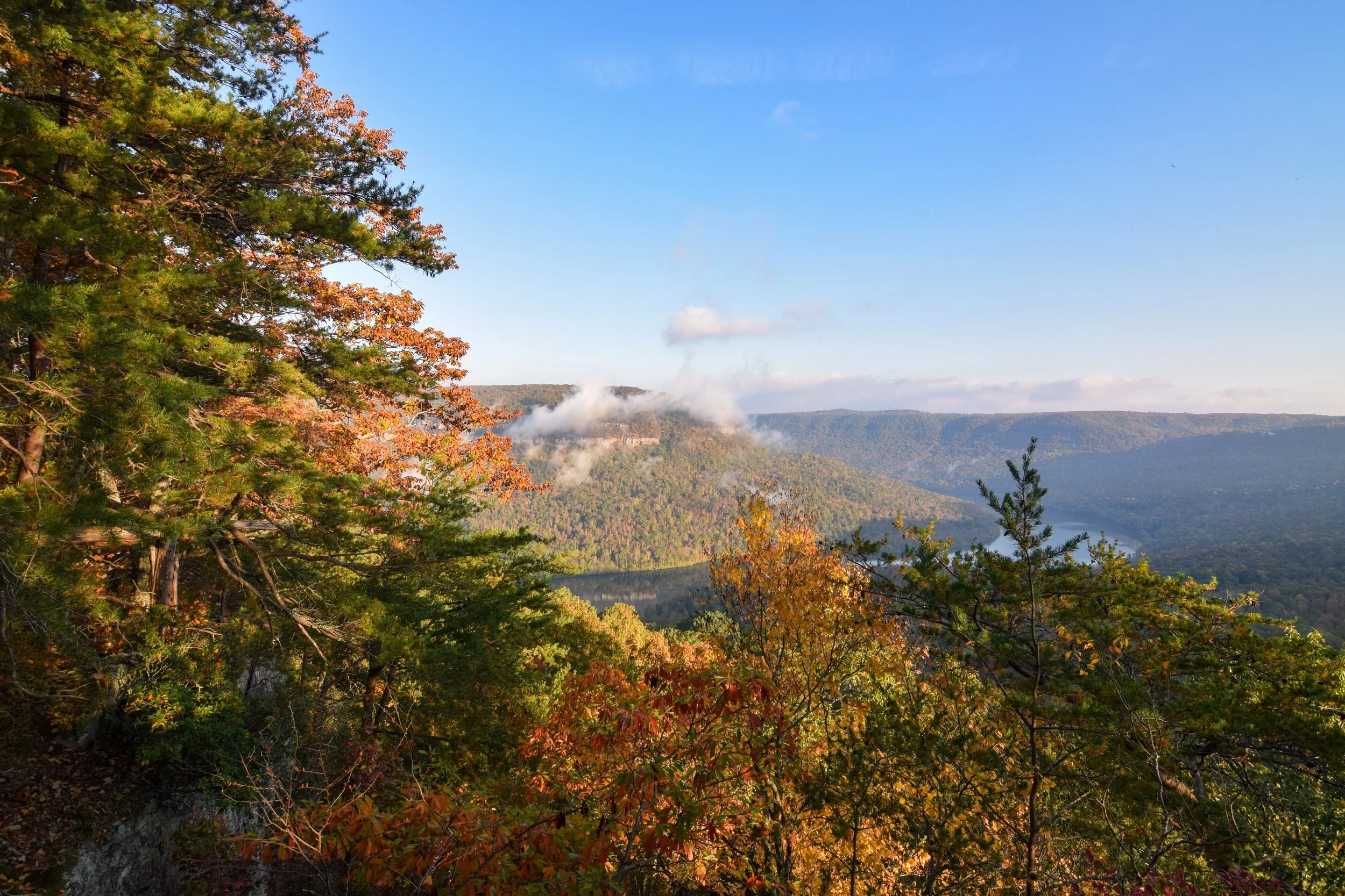 DSC_0675.jpg