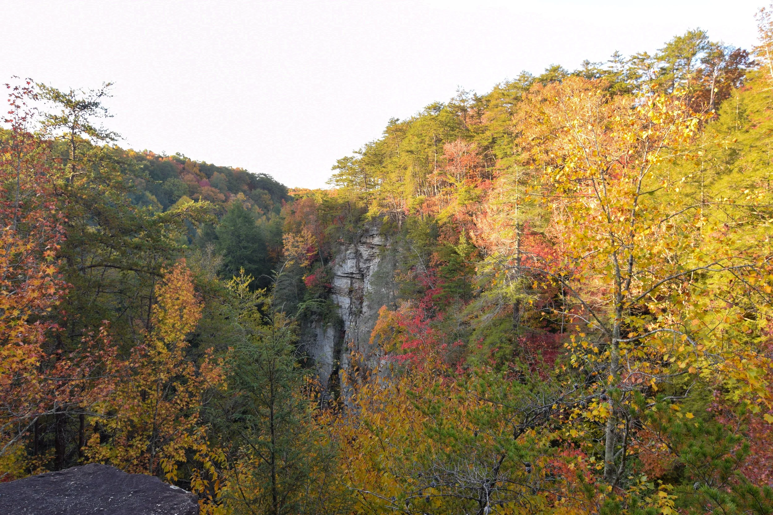 DSC_0499.jpg