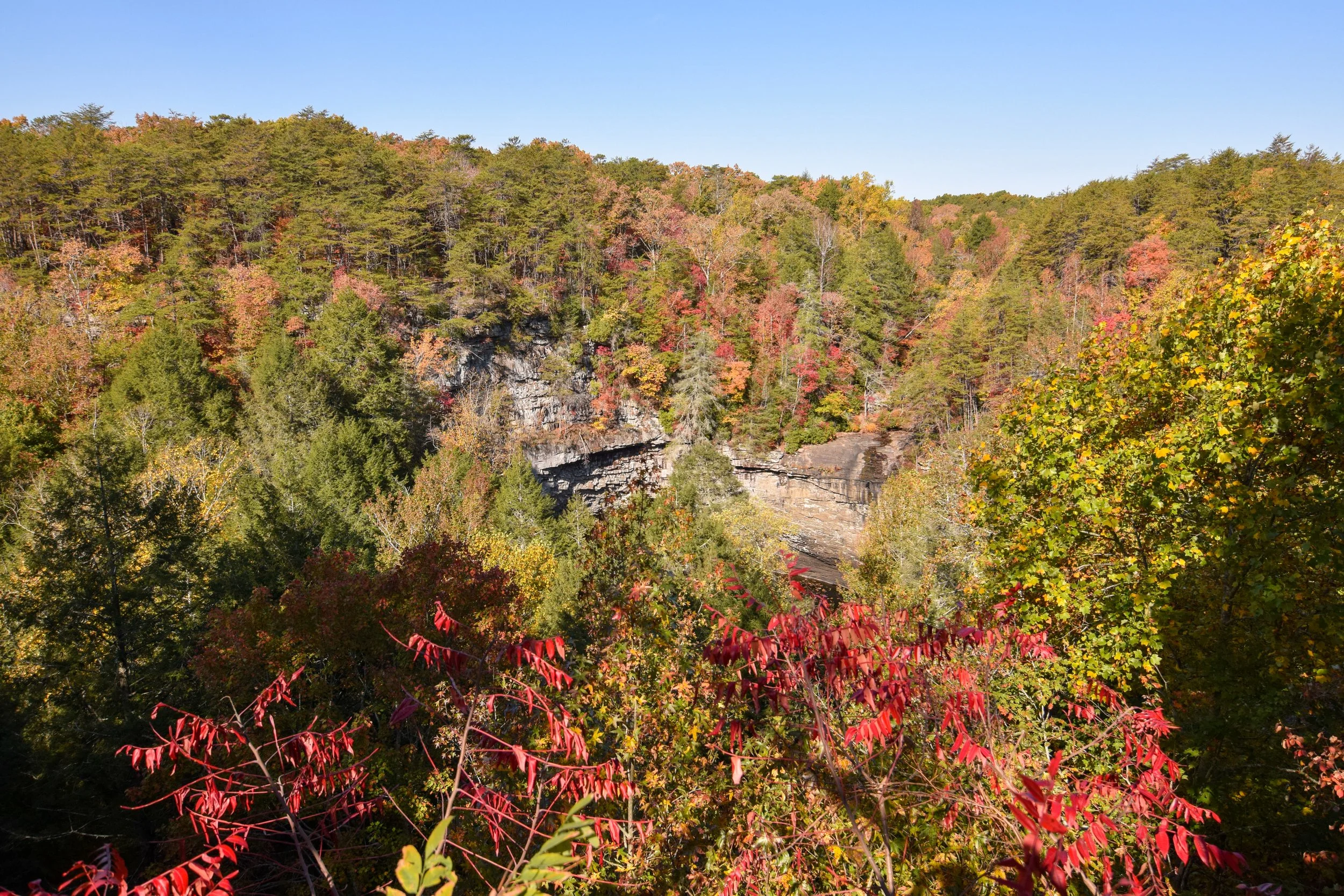 DSC_0622.jpg