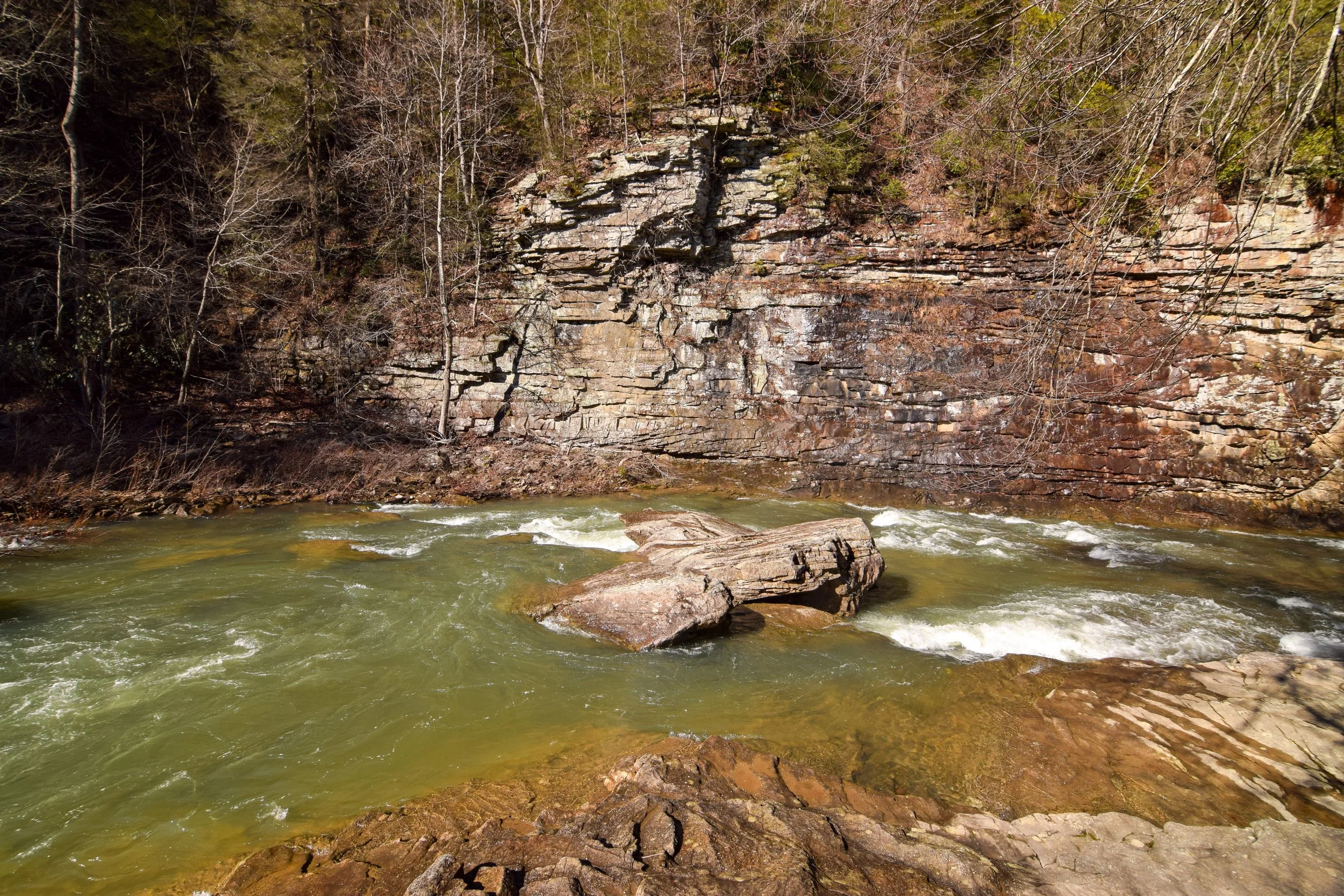 DSC_0651.jpg