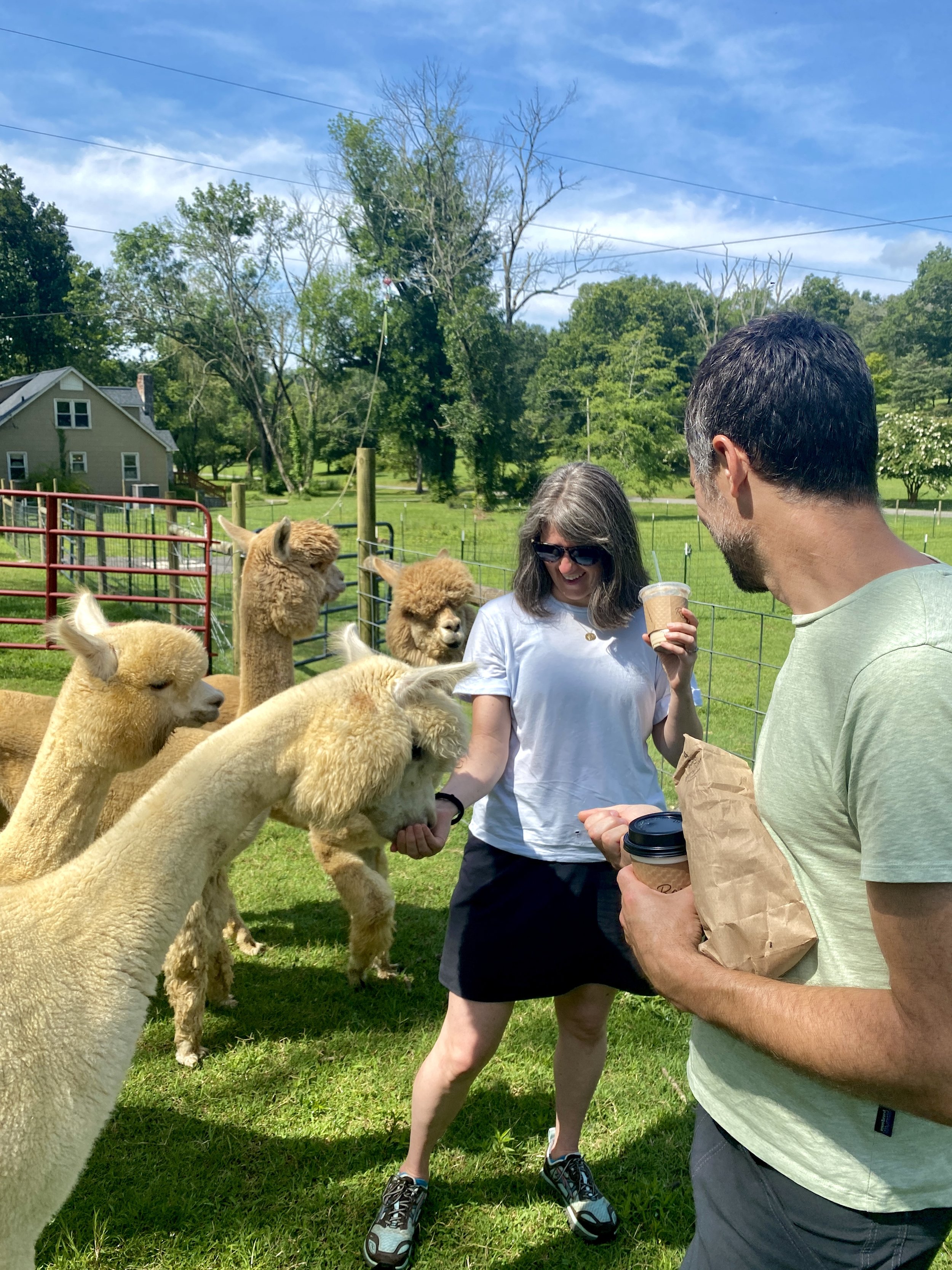 Try this: Rosie Mae's Alpaca Farm & Boutique - NOOGAtoday