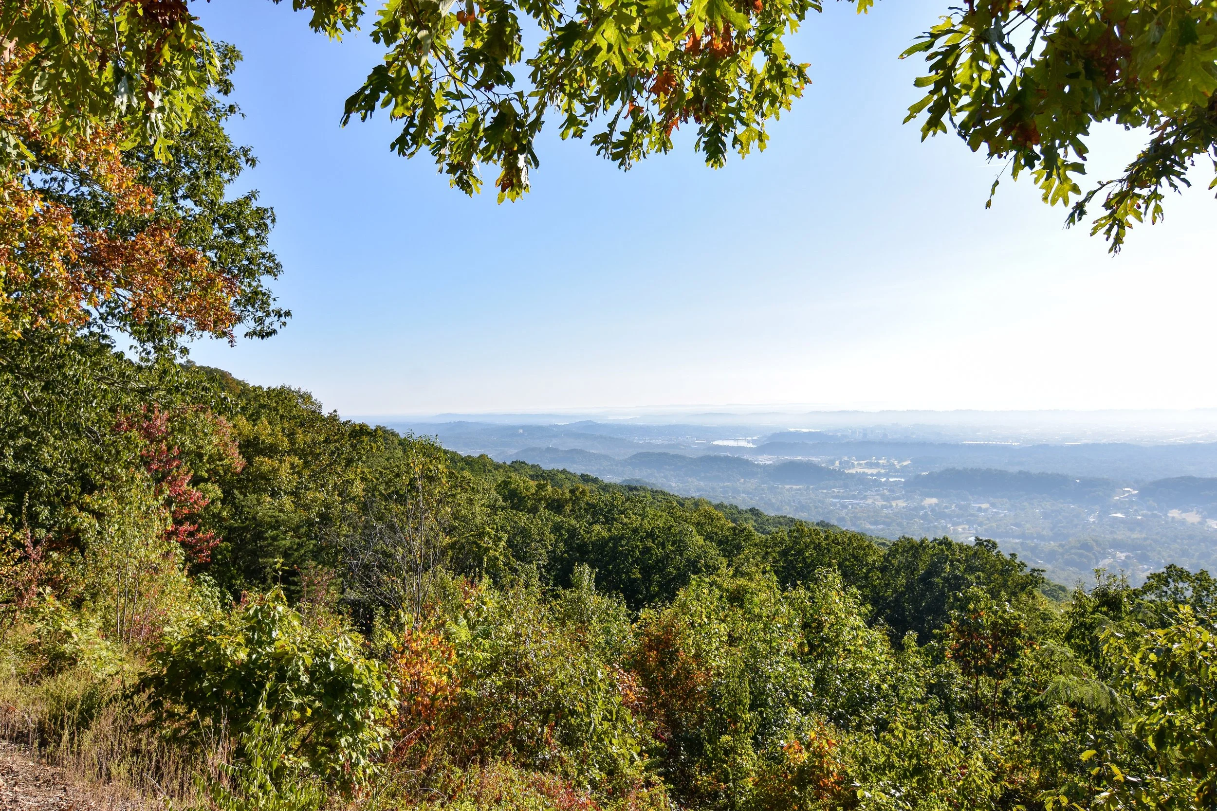 Local Restaurants and Businesses in Chattanooga, TN Experience