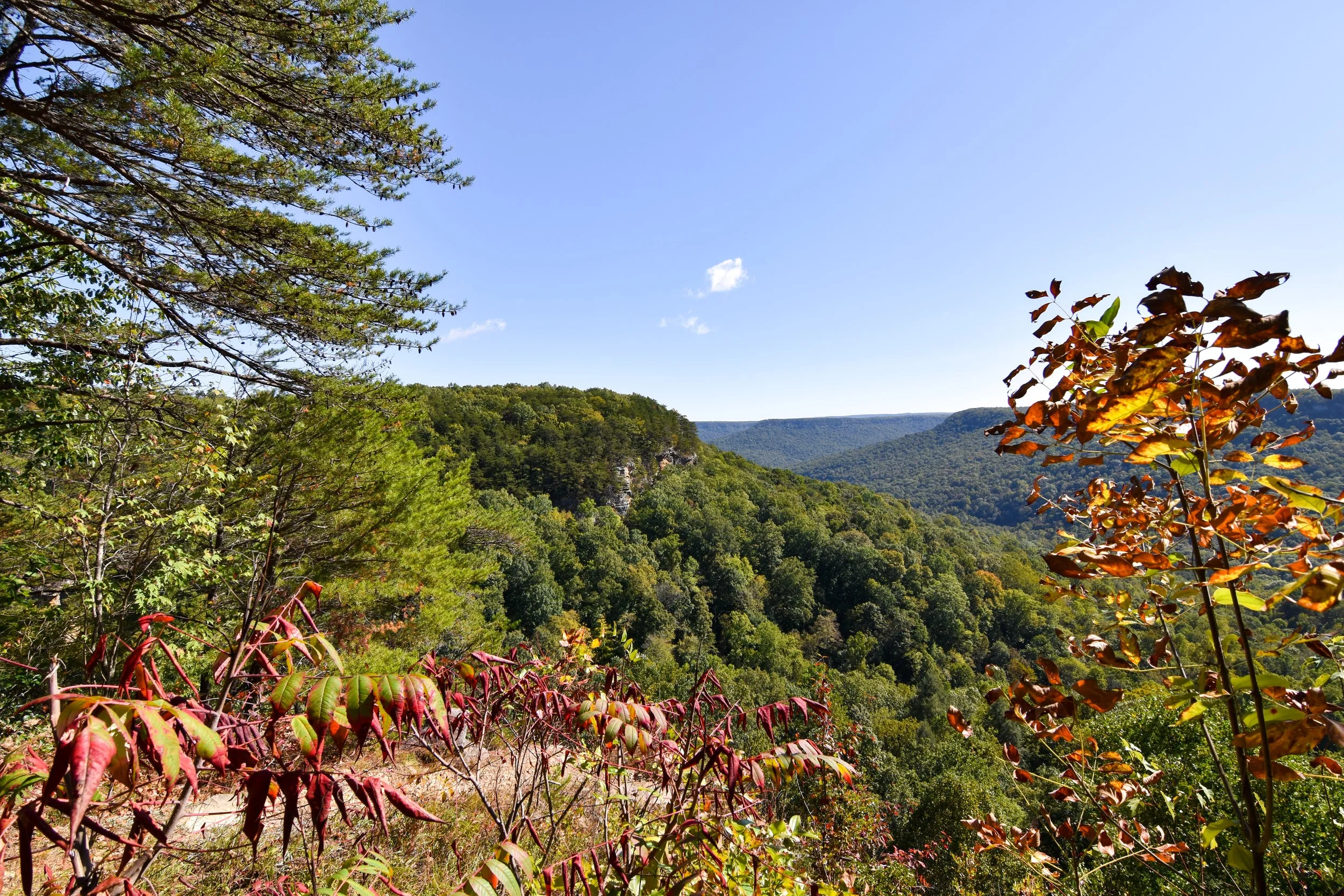 DSC_0616.jpg