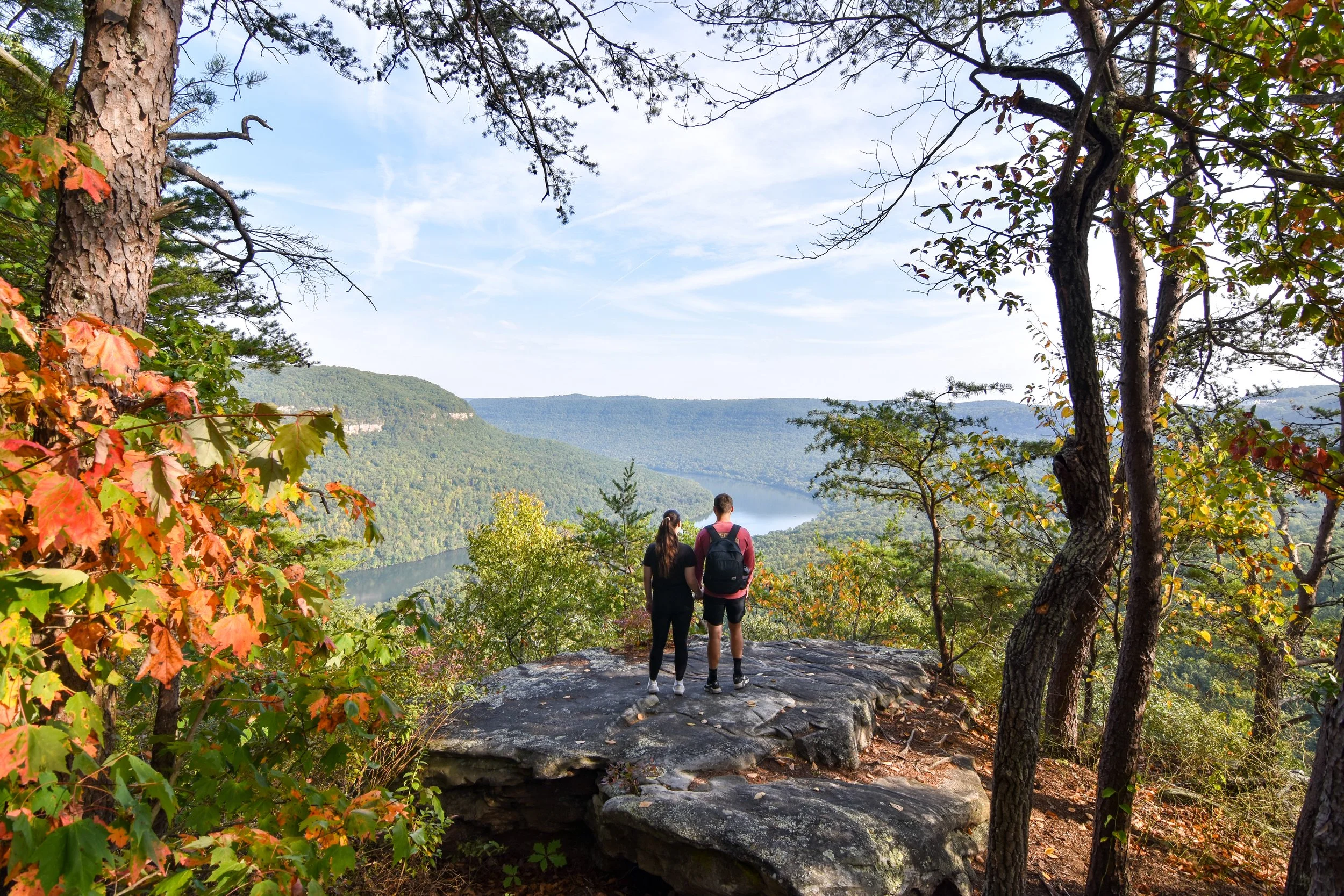 DSC_0197.jpg
