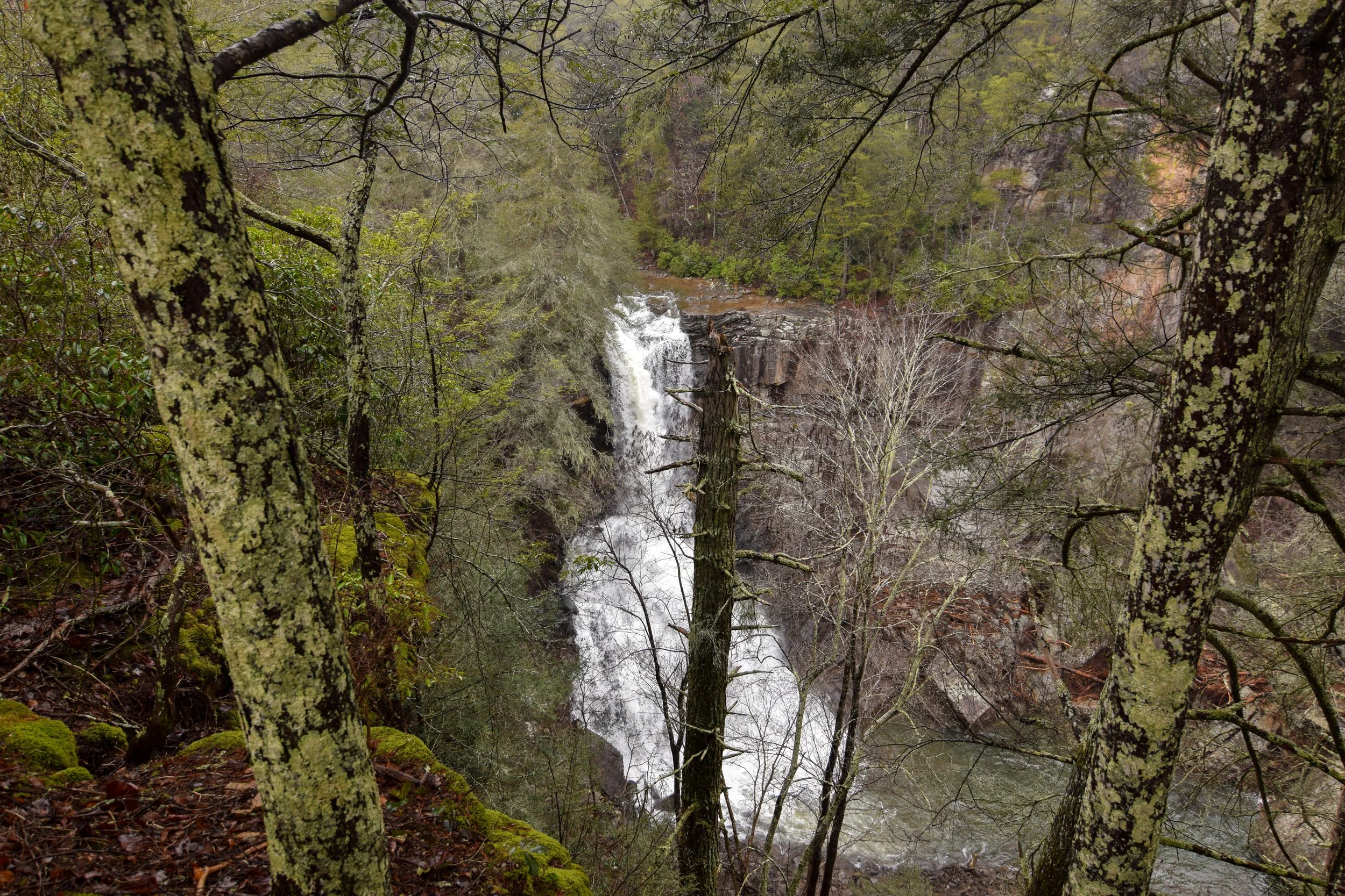 DSC_0104.jpg