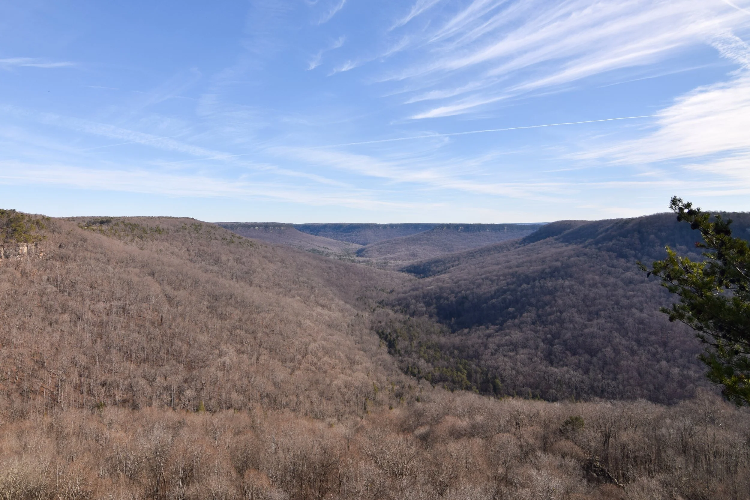DSC_0687.jpg