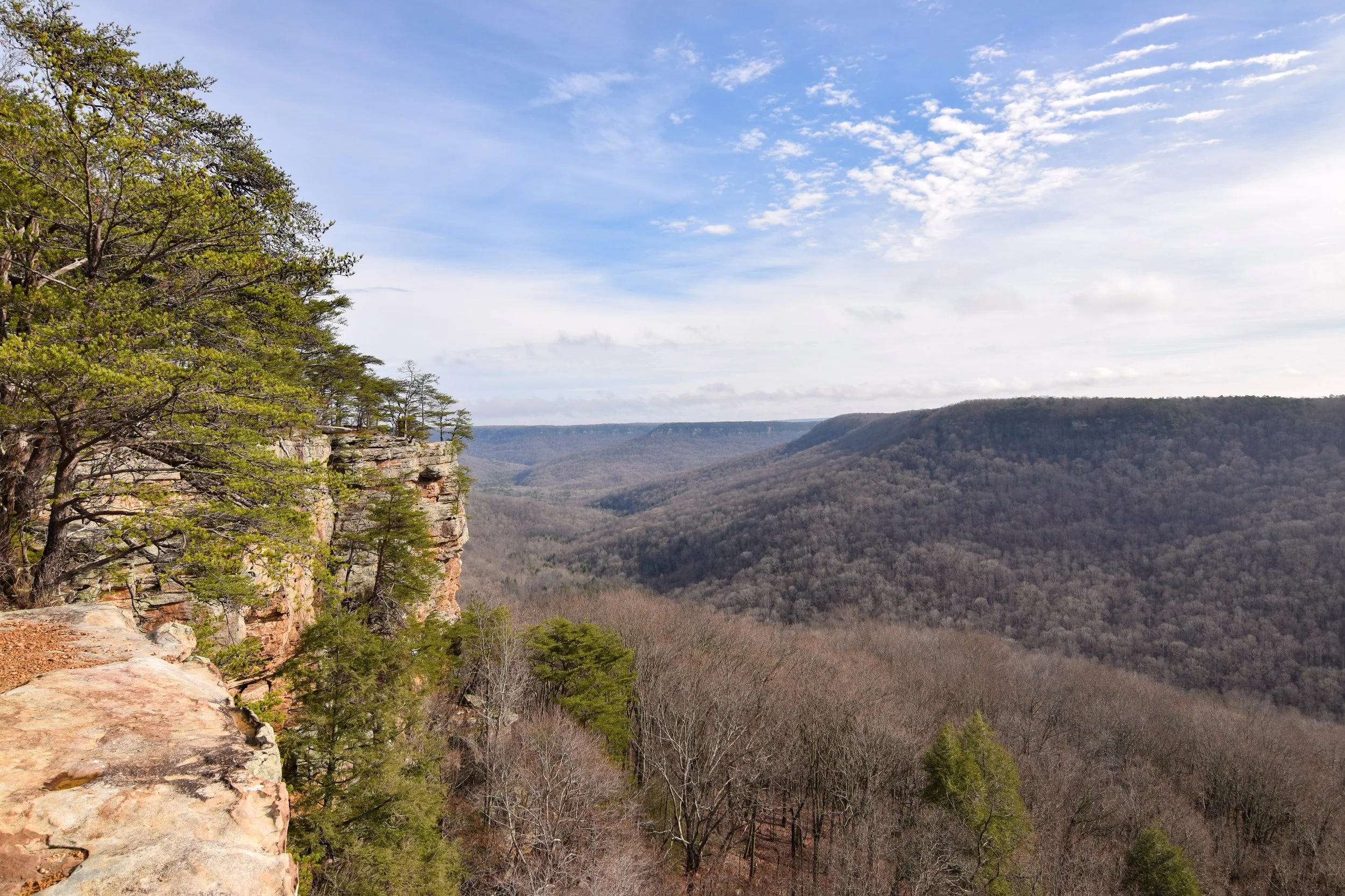 DSC_0067.jpg