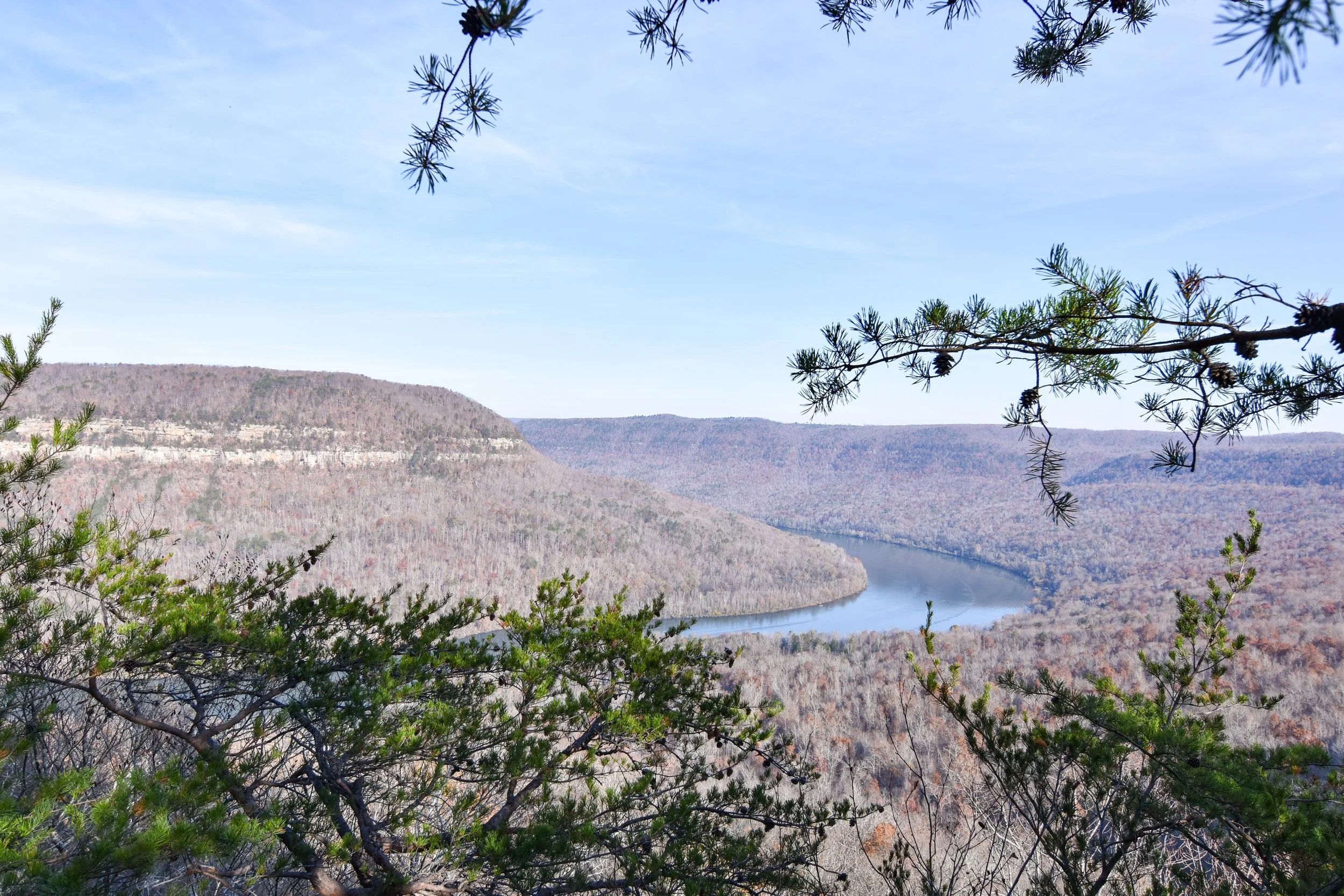 DSC_0132.jpg