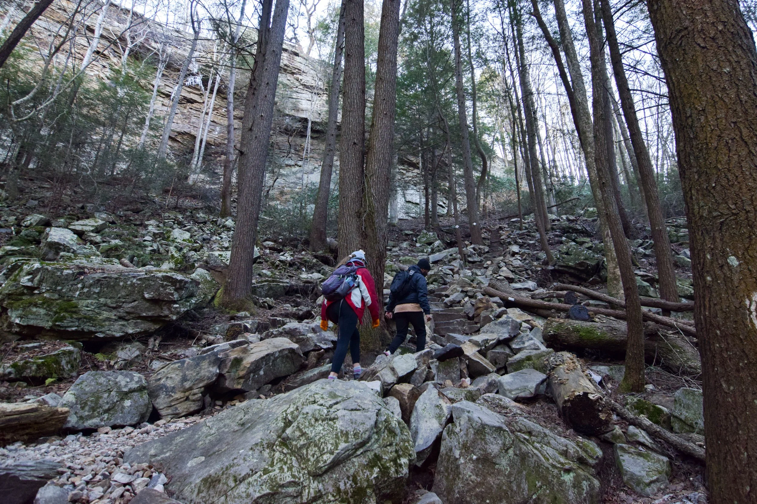 DSC_0753.jpg