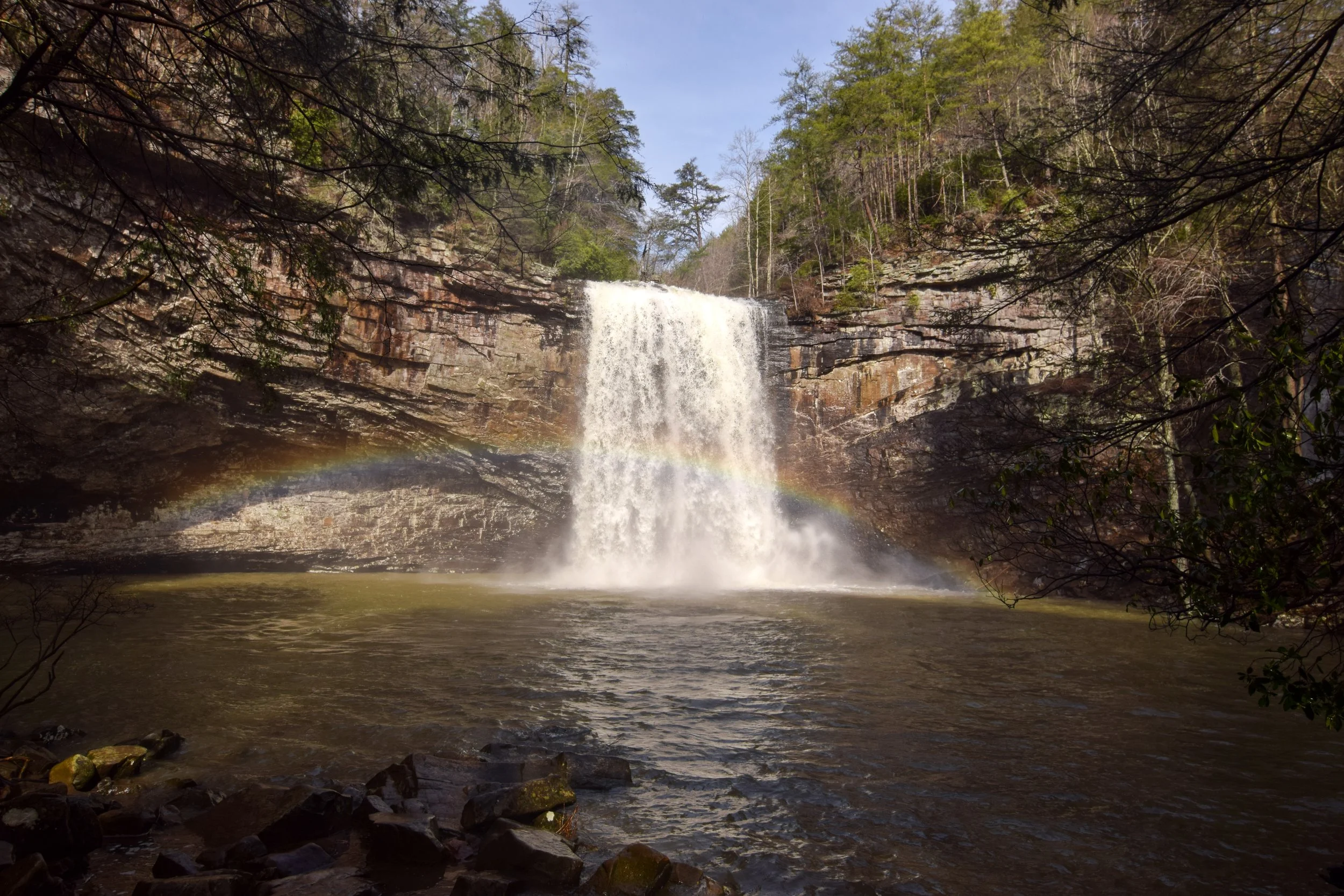 DSC_1320.jpg