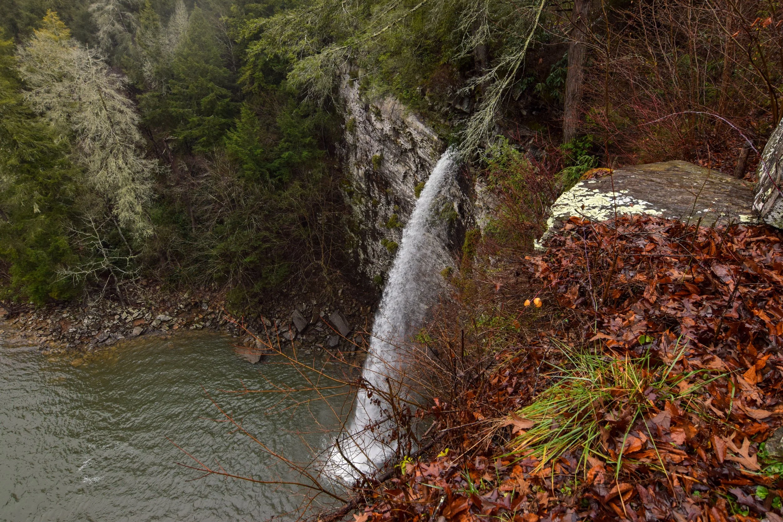 DSC_0105.jpg