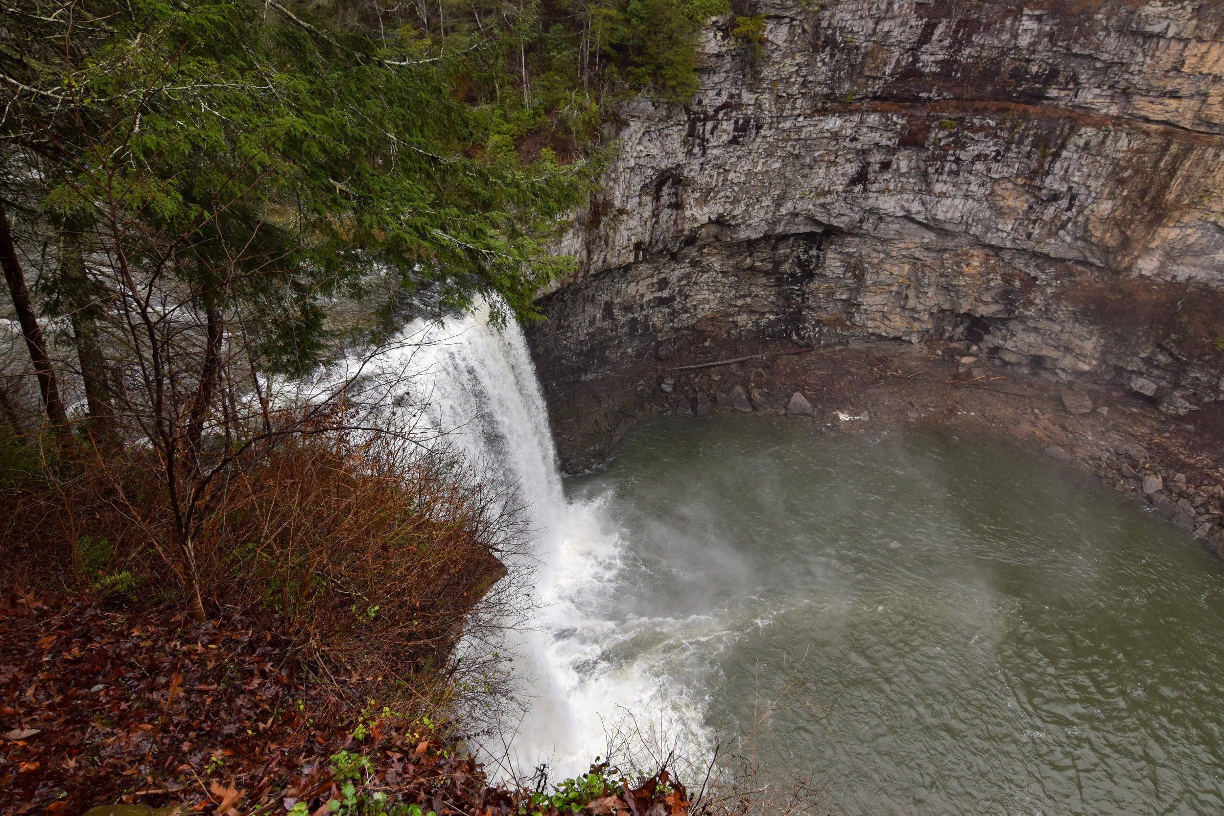 DSC_0106.jpg
