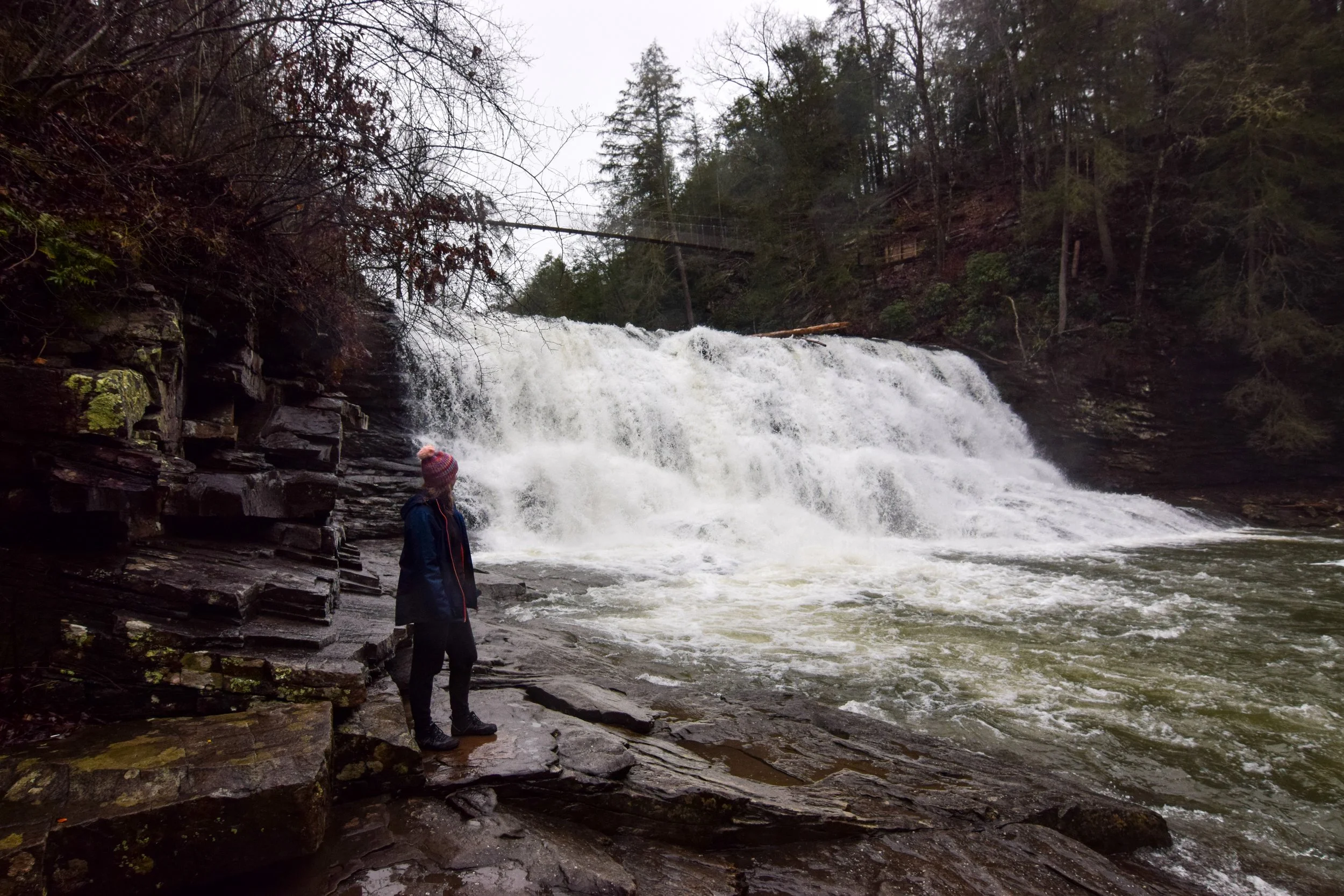 DSC_0114.jpg