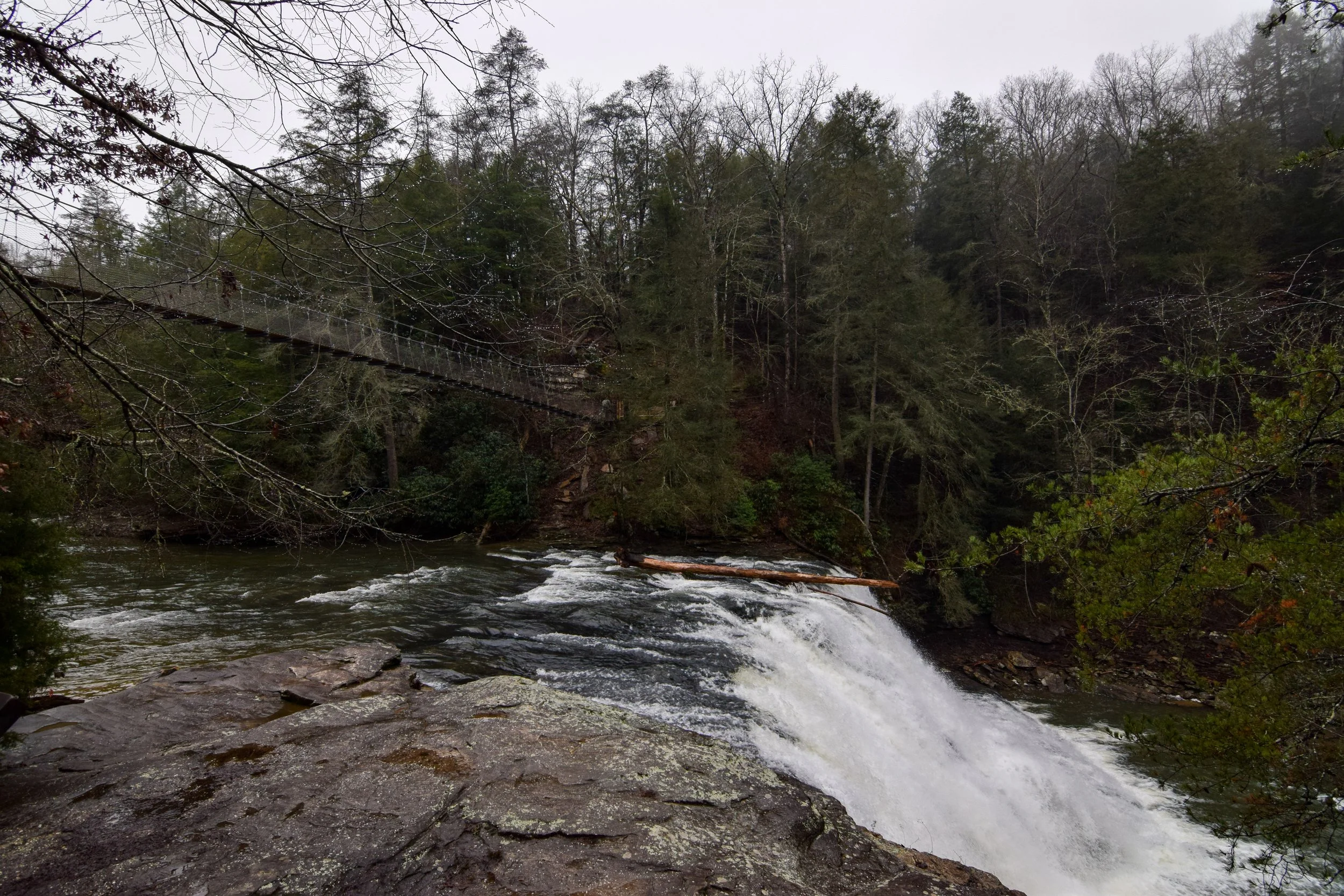 DSC_0115.jpg