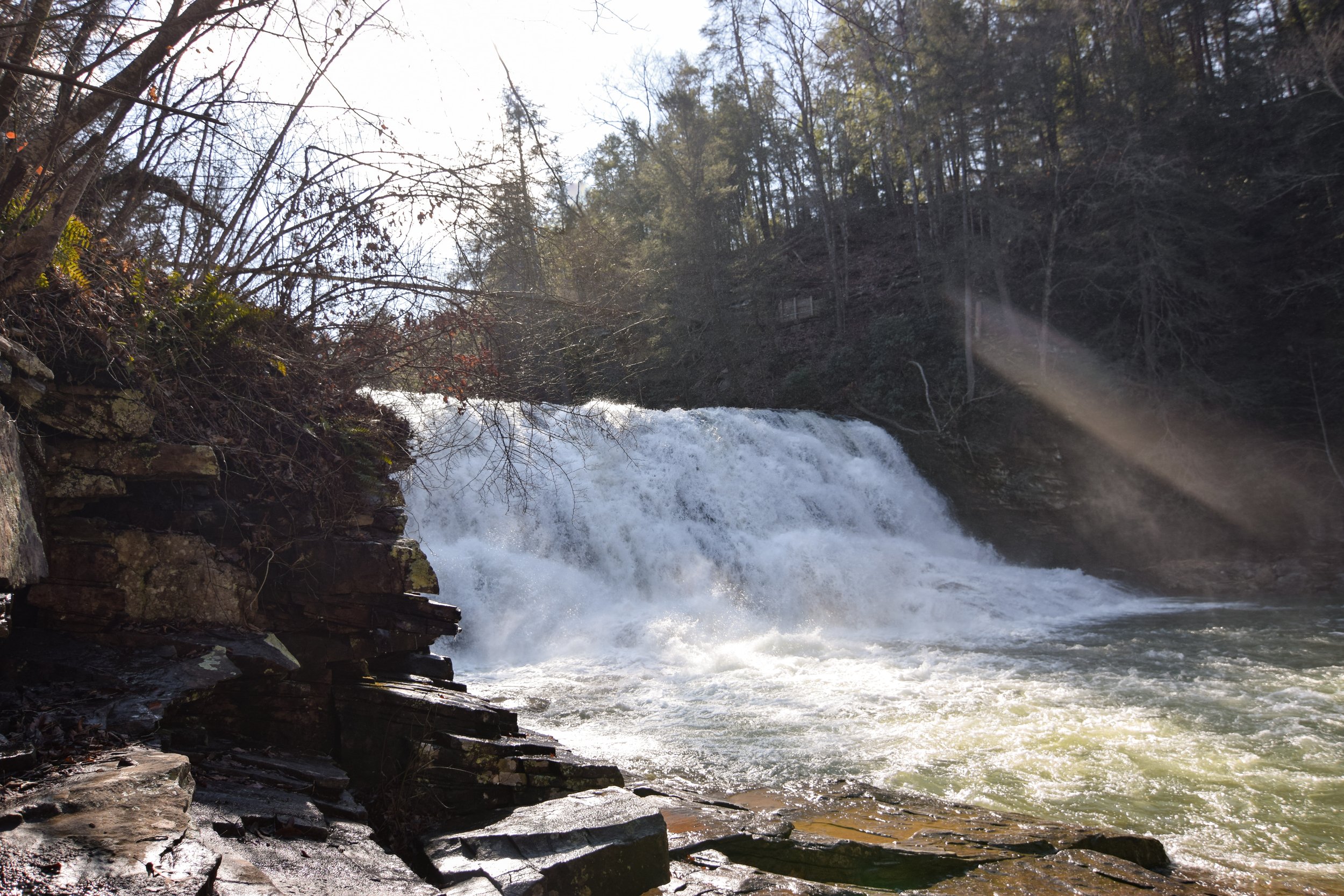 DSC_0659.jpg