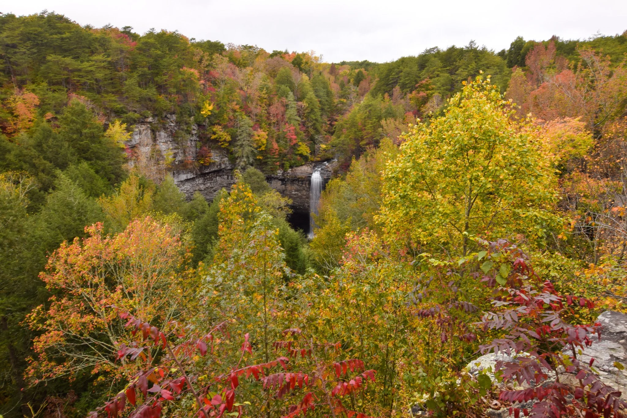 DSC_0116.jpg