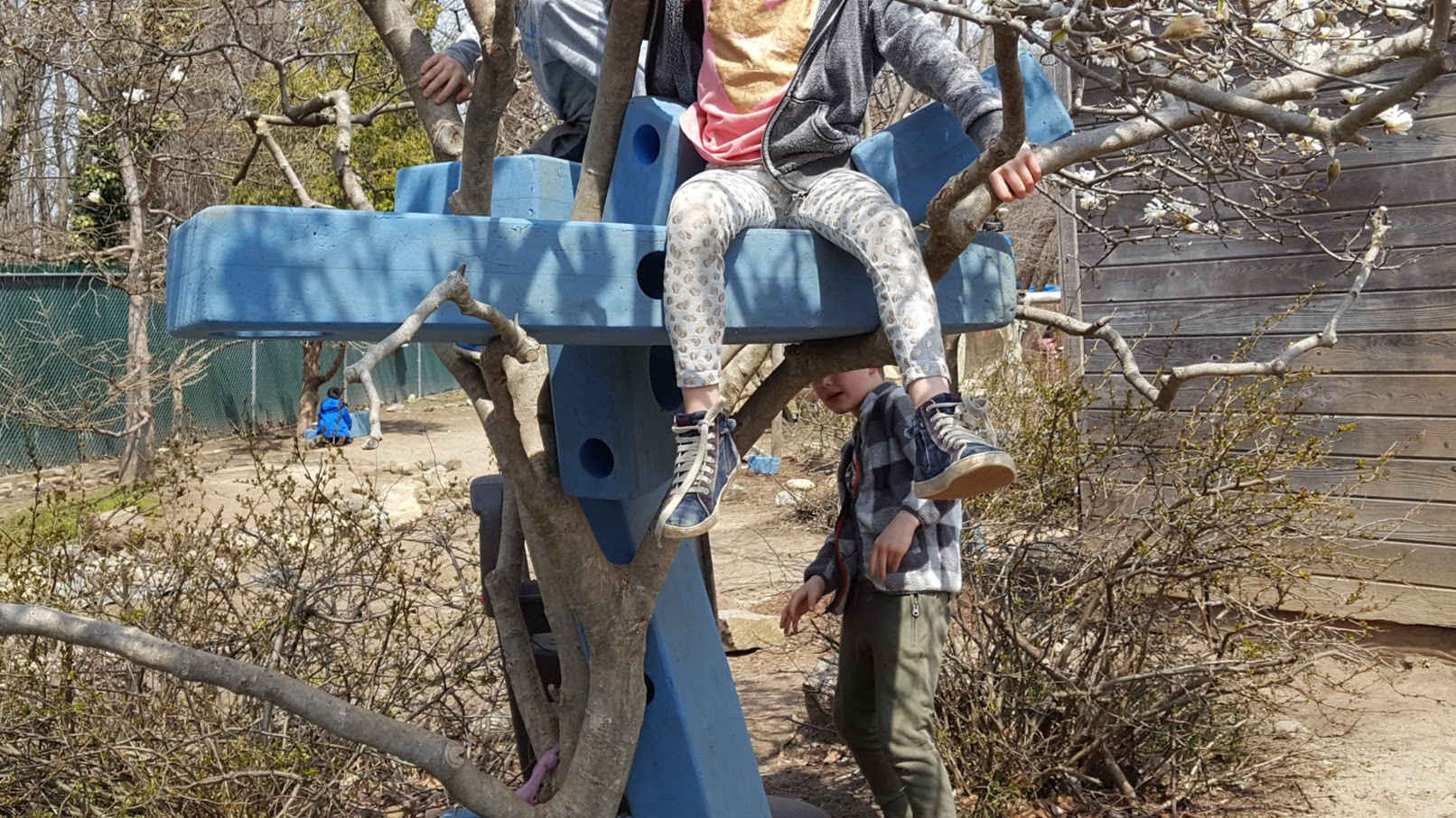  Children sit and climb around on blue foam Imagination Playground blocks that have been set into the branches of a tree.  