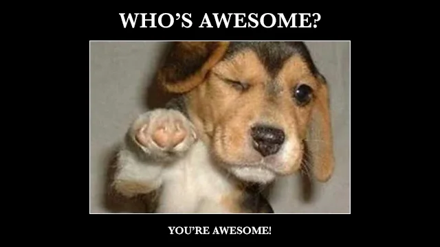 awesome-dog.jpg
