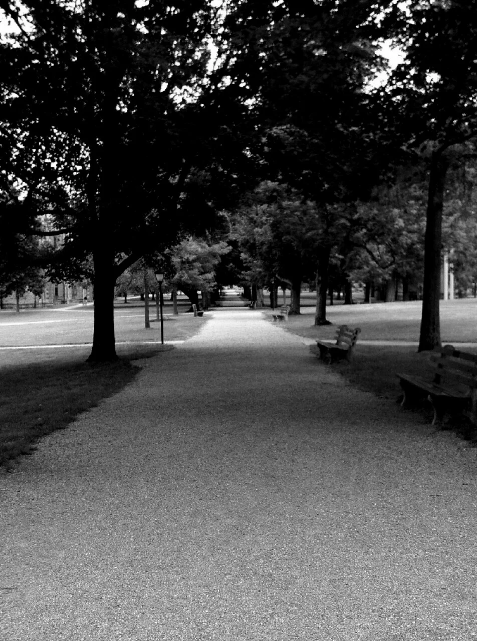 Pathway-2.jpg