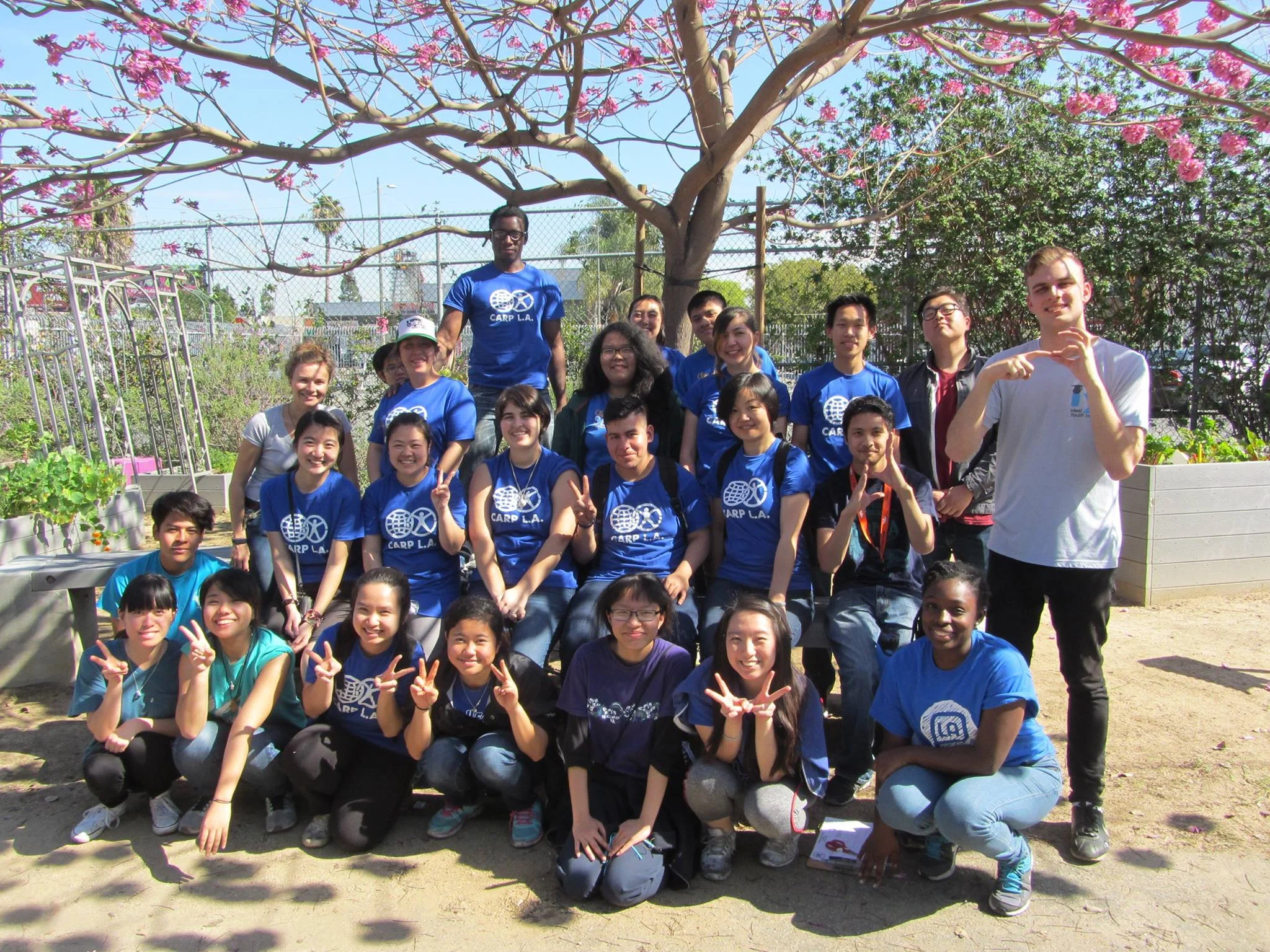 CARP members at a service project .