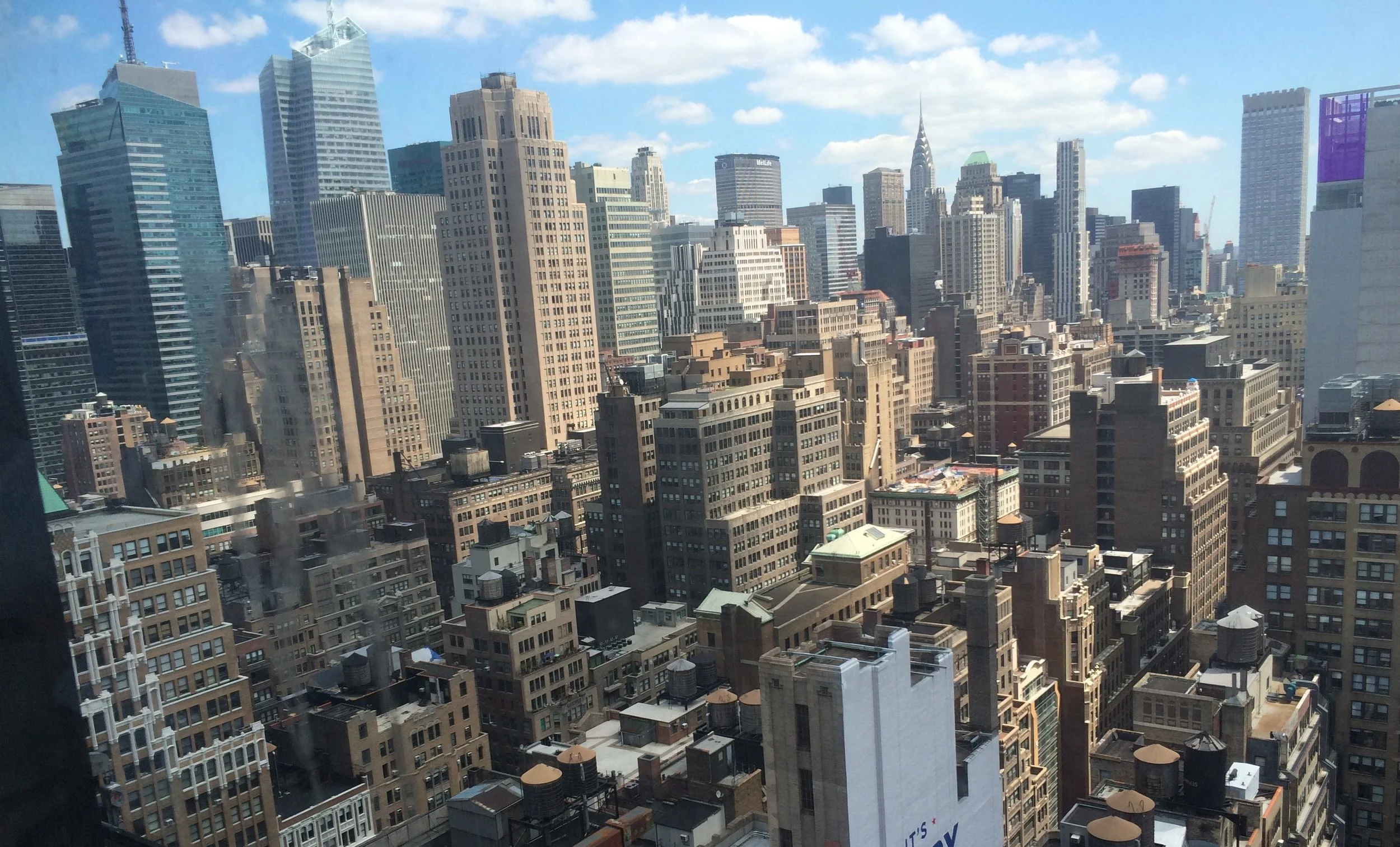 They call New York City the concrete jungle.