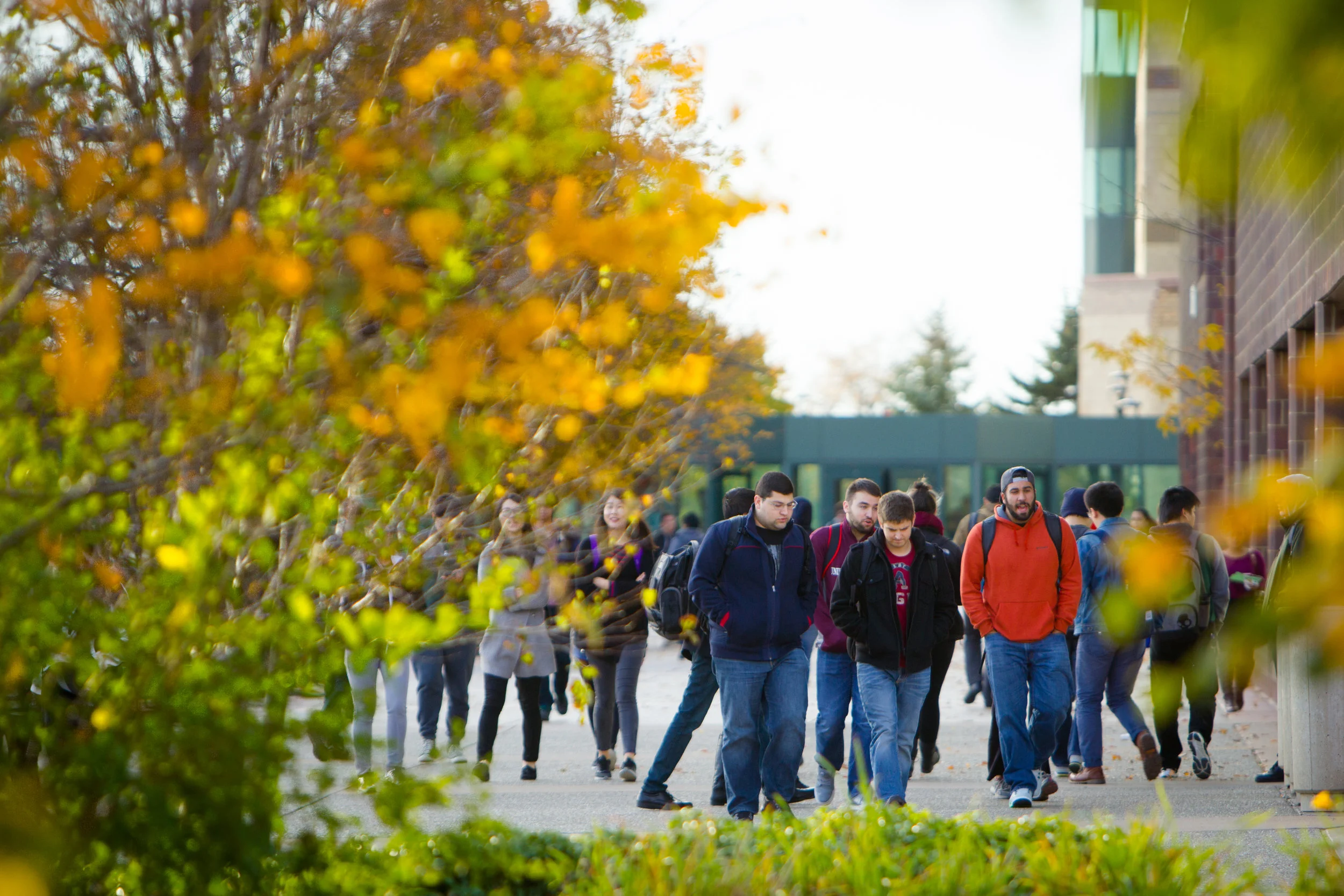 University at Buffalo students walking on campus during fall semester. 