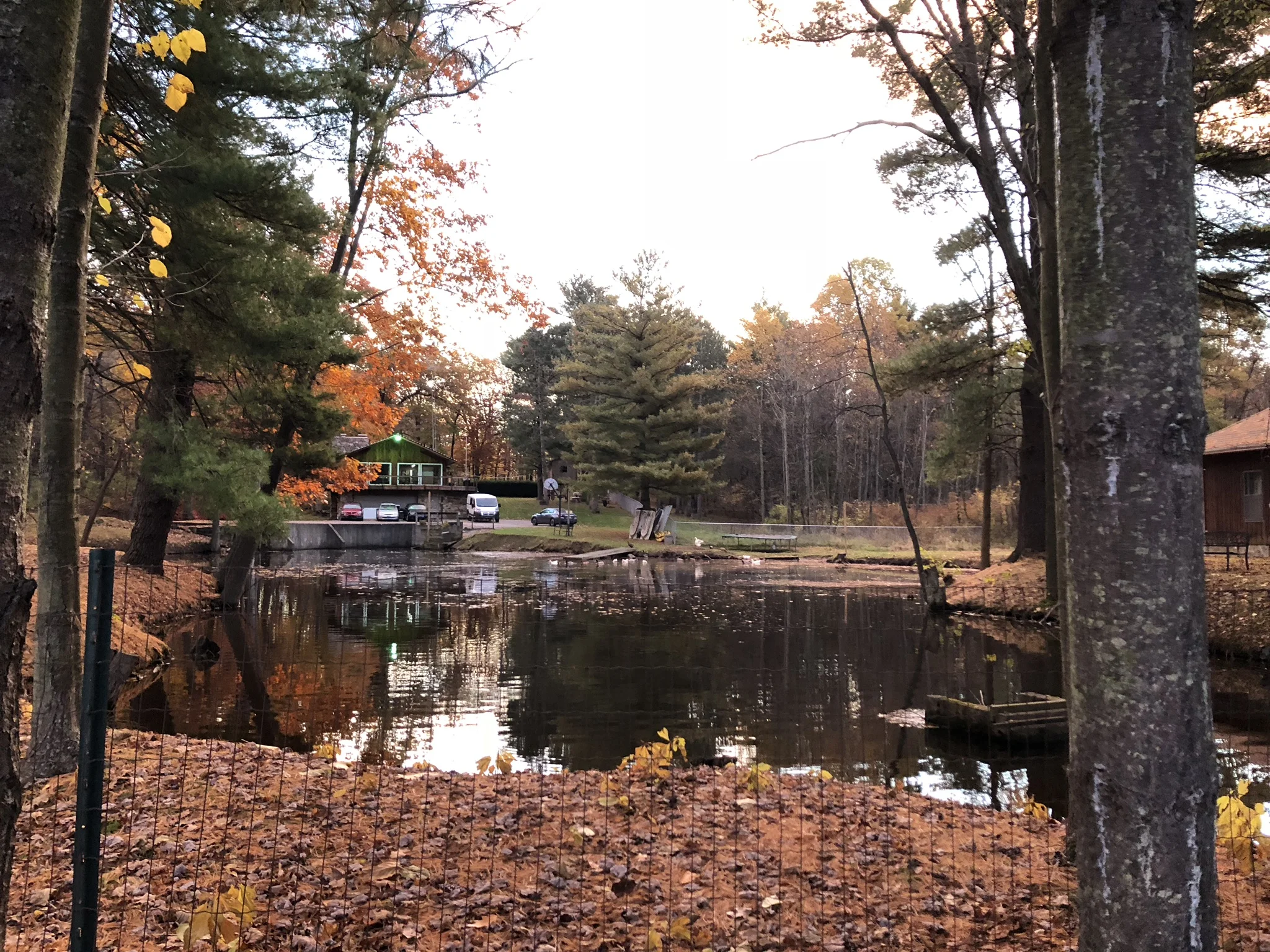 The campsite overlooks a little lake where ducks play.