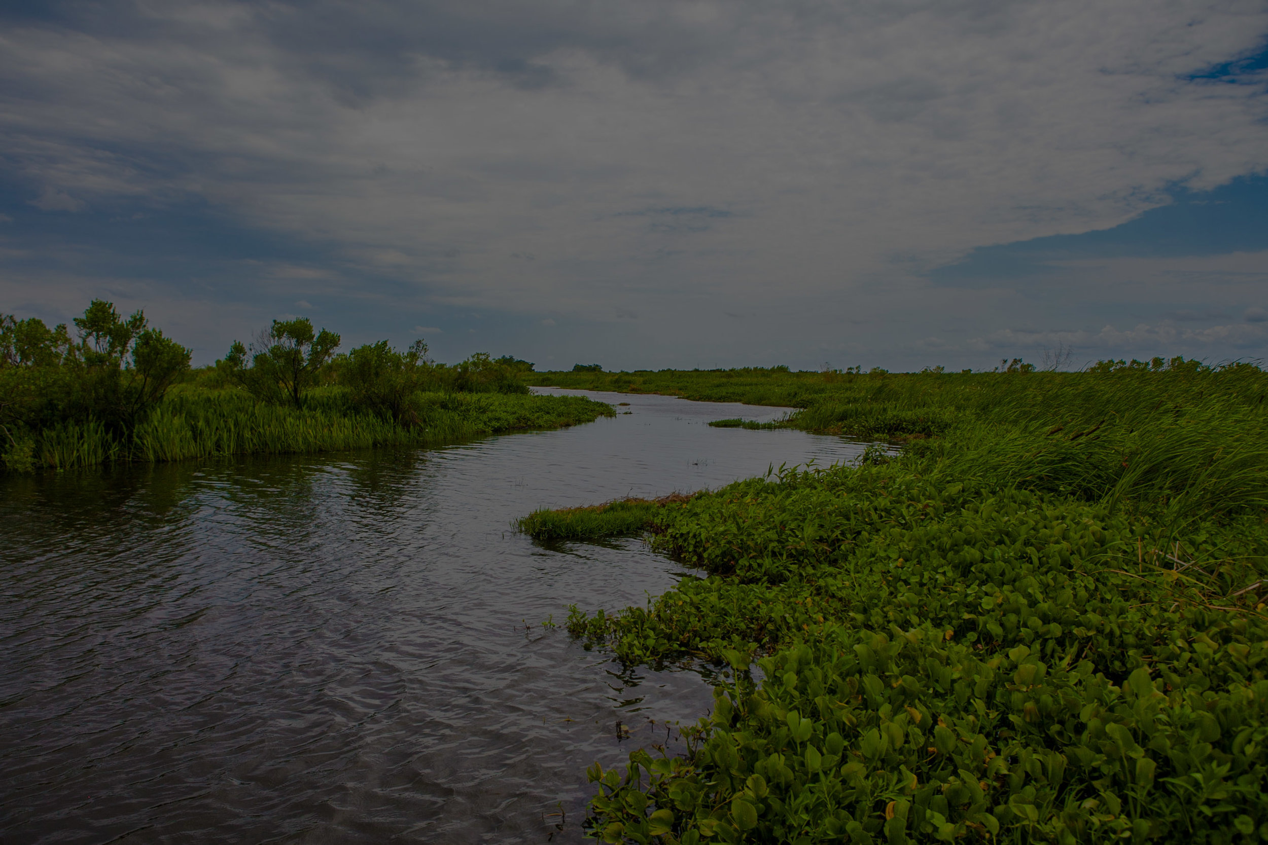 AdobeStock_135509796.jpg