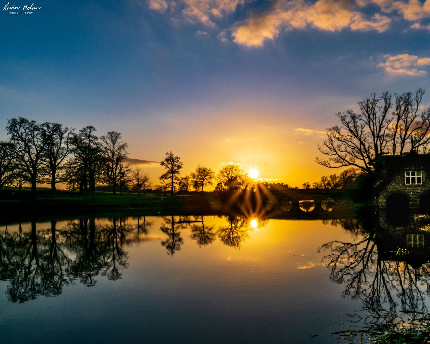 Carton-Sunflare-Bridge-2W.jpg